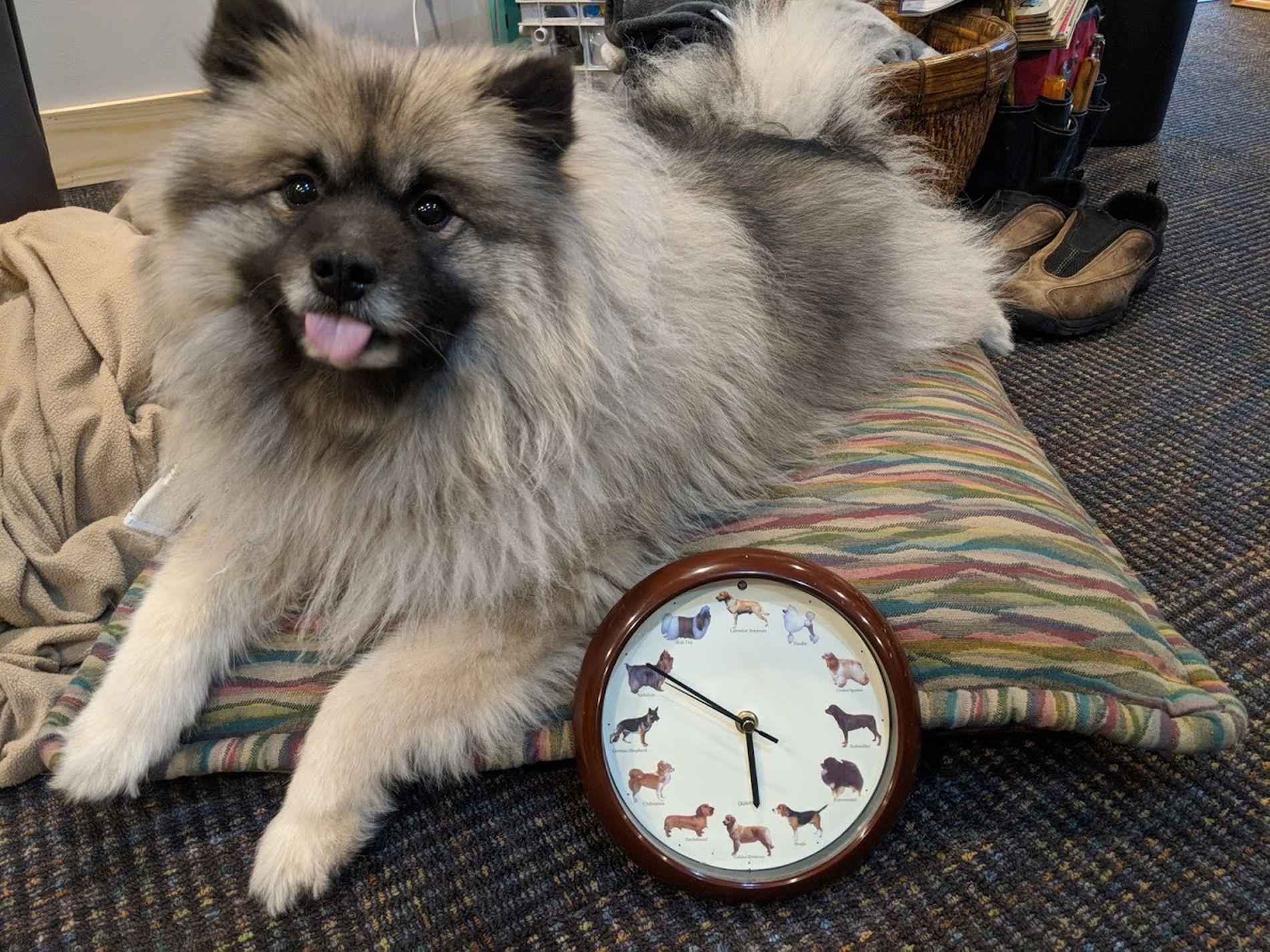 Maggie & her clock