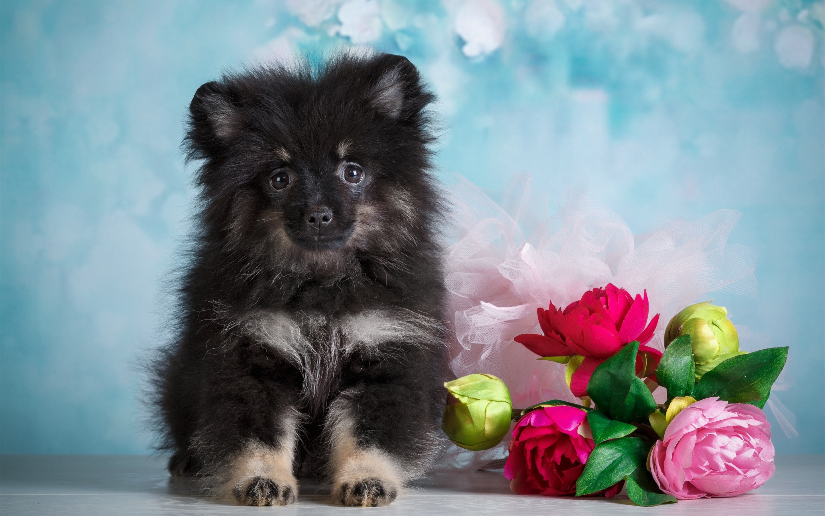 Cute Puppy And Flowers 750x1334 IPhone 8 7 6 6S Wallpaper