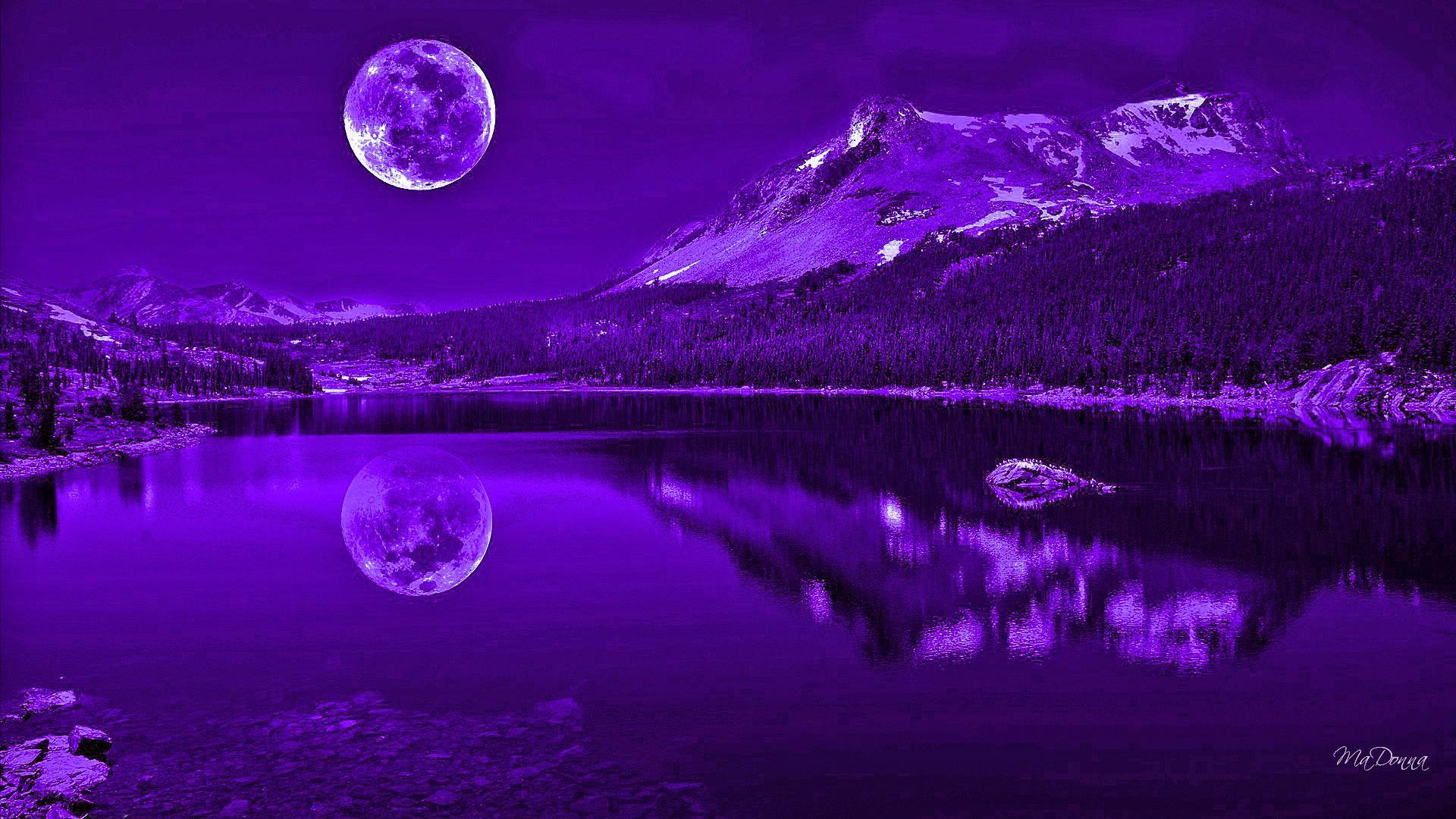 Purple Nights Reflection wallpaper