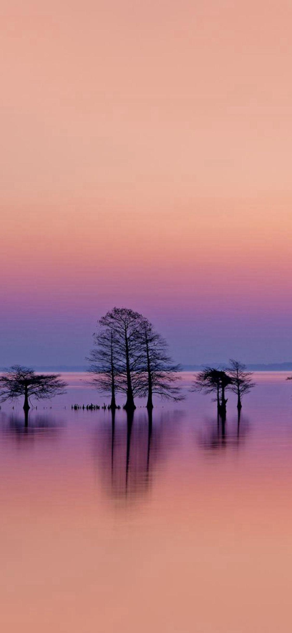 Minimal Lake Lonely Trees Reflection Scene #iPhone #X