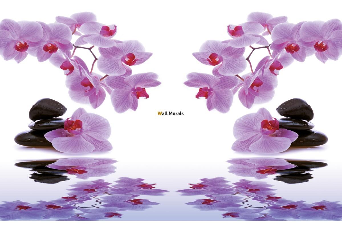 Wallpaper mural branch purple orchids and stones