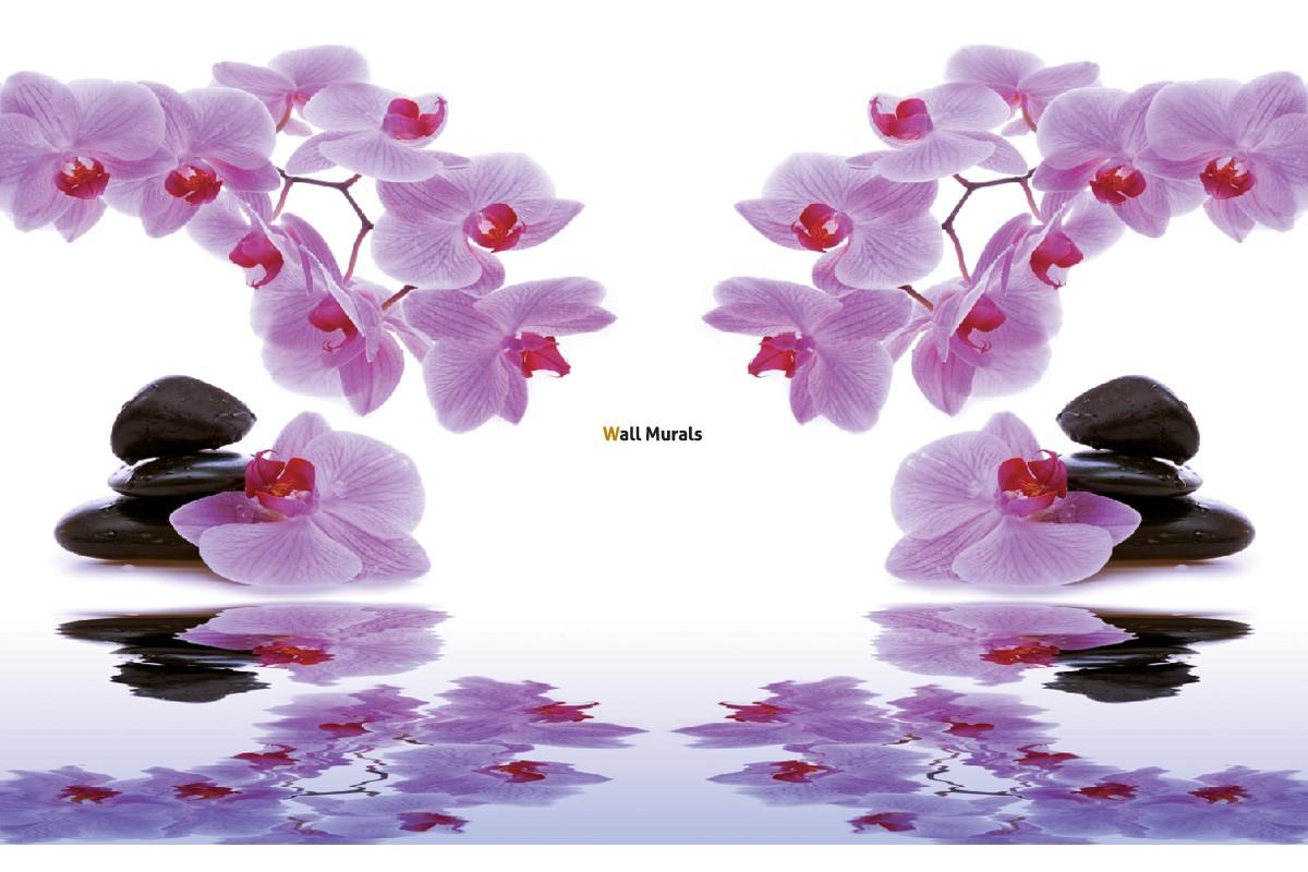Wallpaper mural branch purple orchids and stones