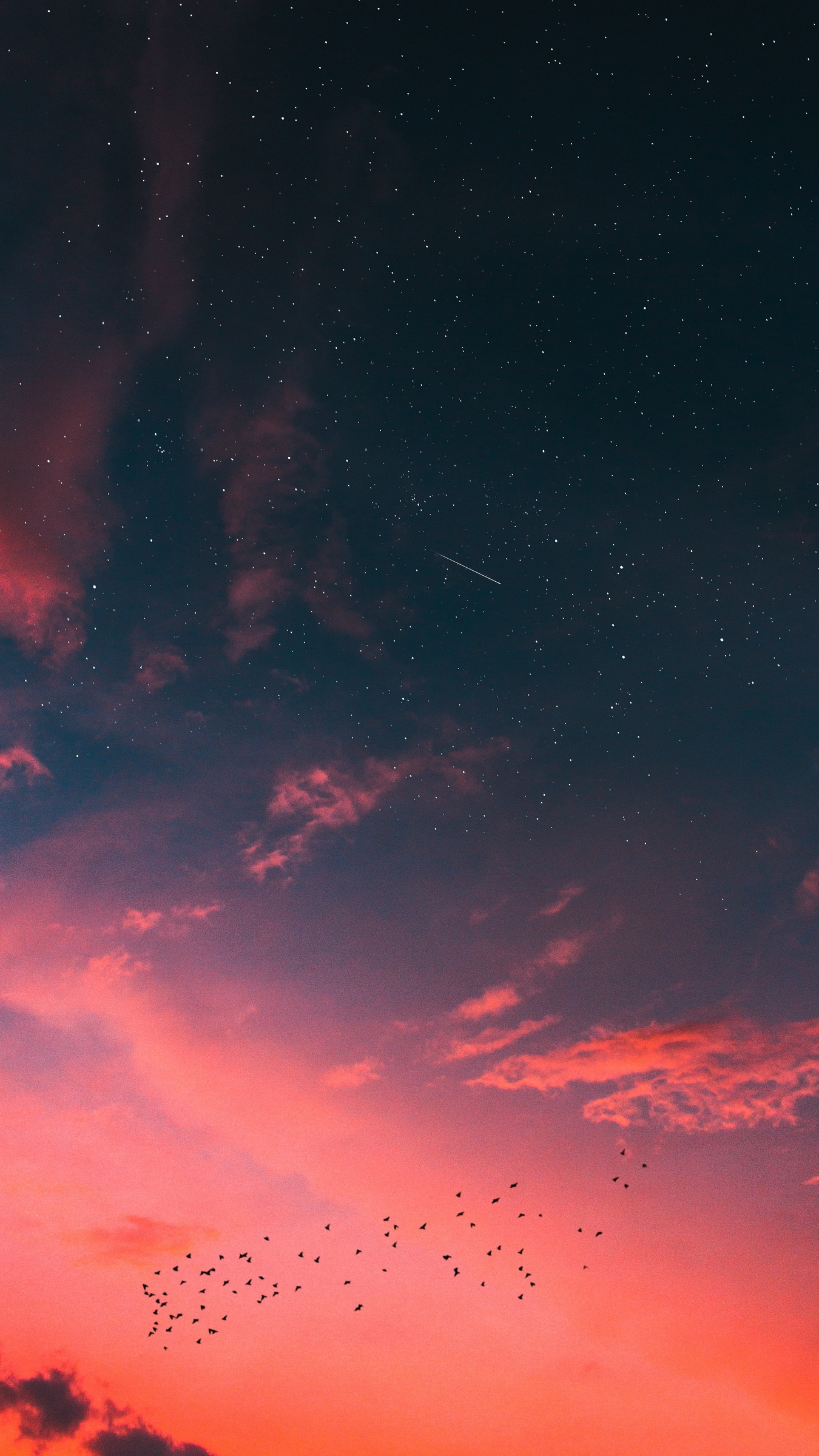 Download wallpaper 1350x2400 starry sky, clouds, sunset