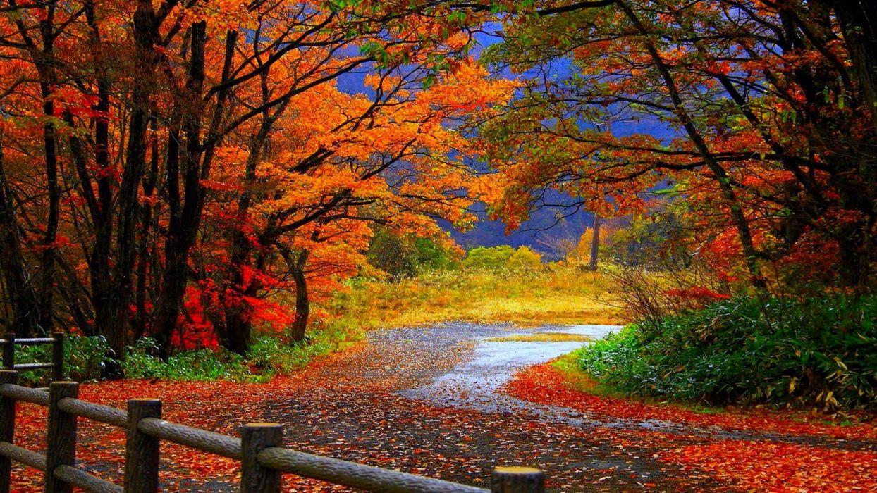 Autumn fall trees fence path trail colorful leaves foliage wallpaperx1080