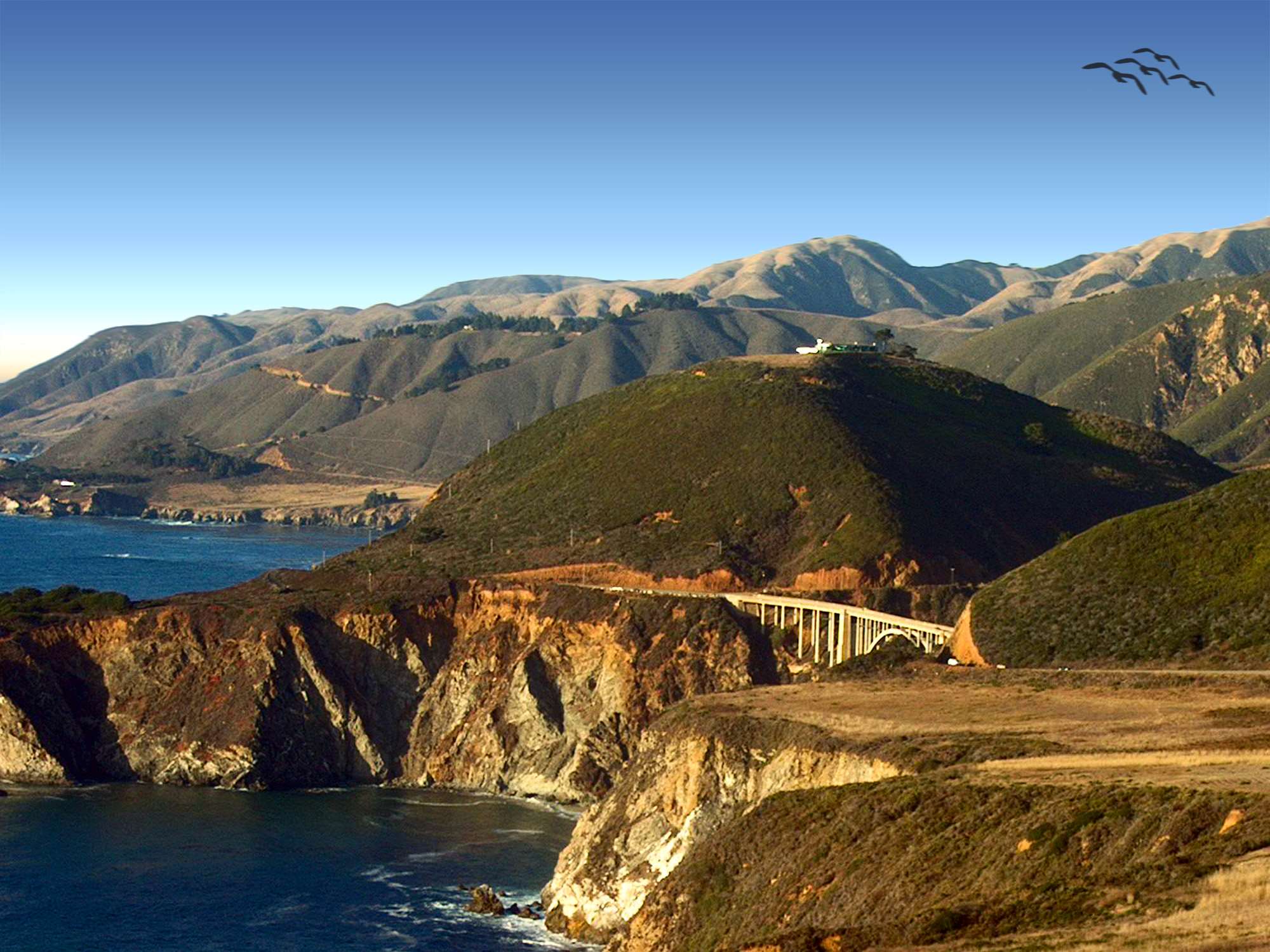 big sur, birds, bixby bridge, california coast