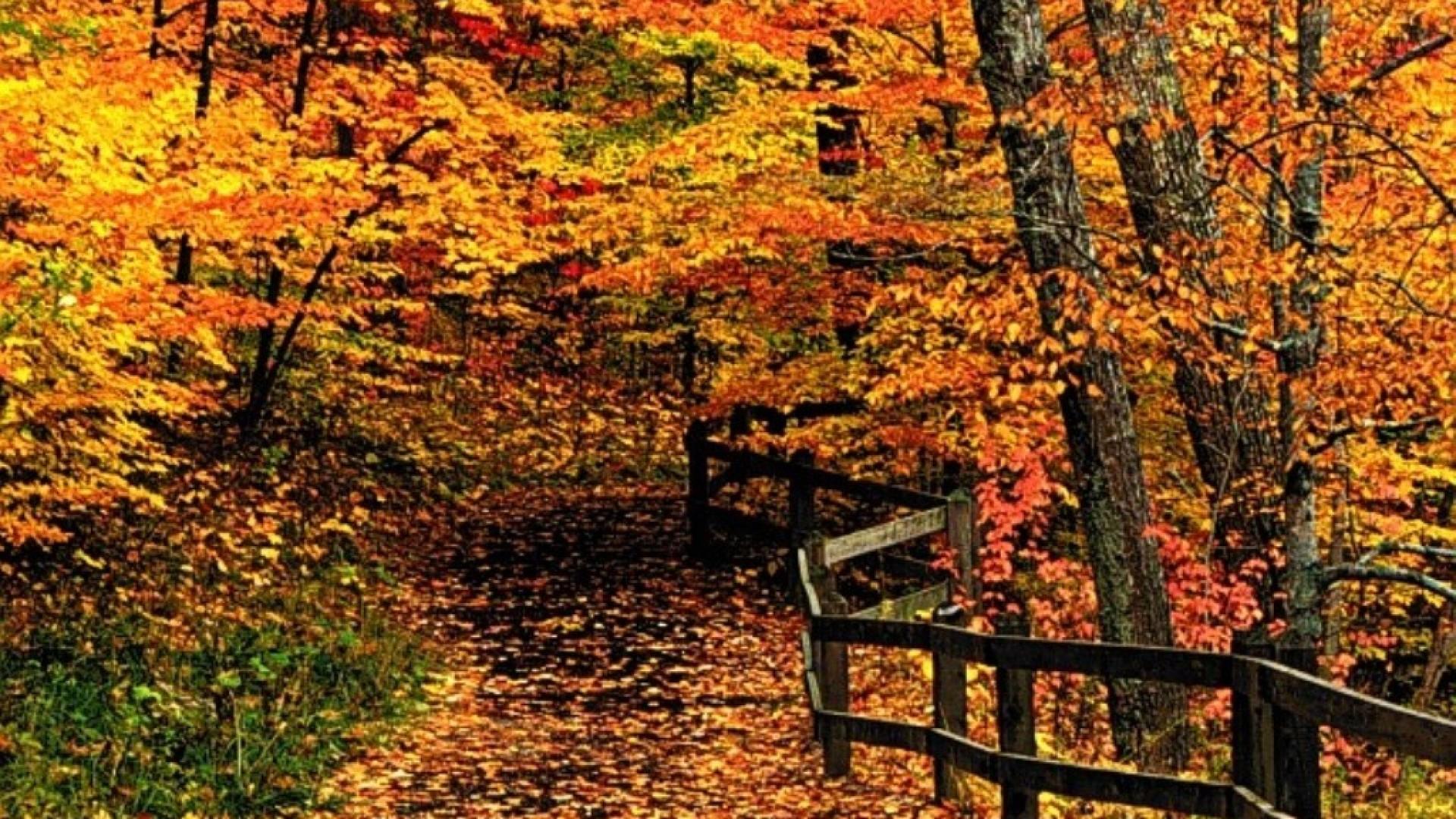 New England Fall Wallpaper (30 + Background Picture)
