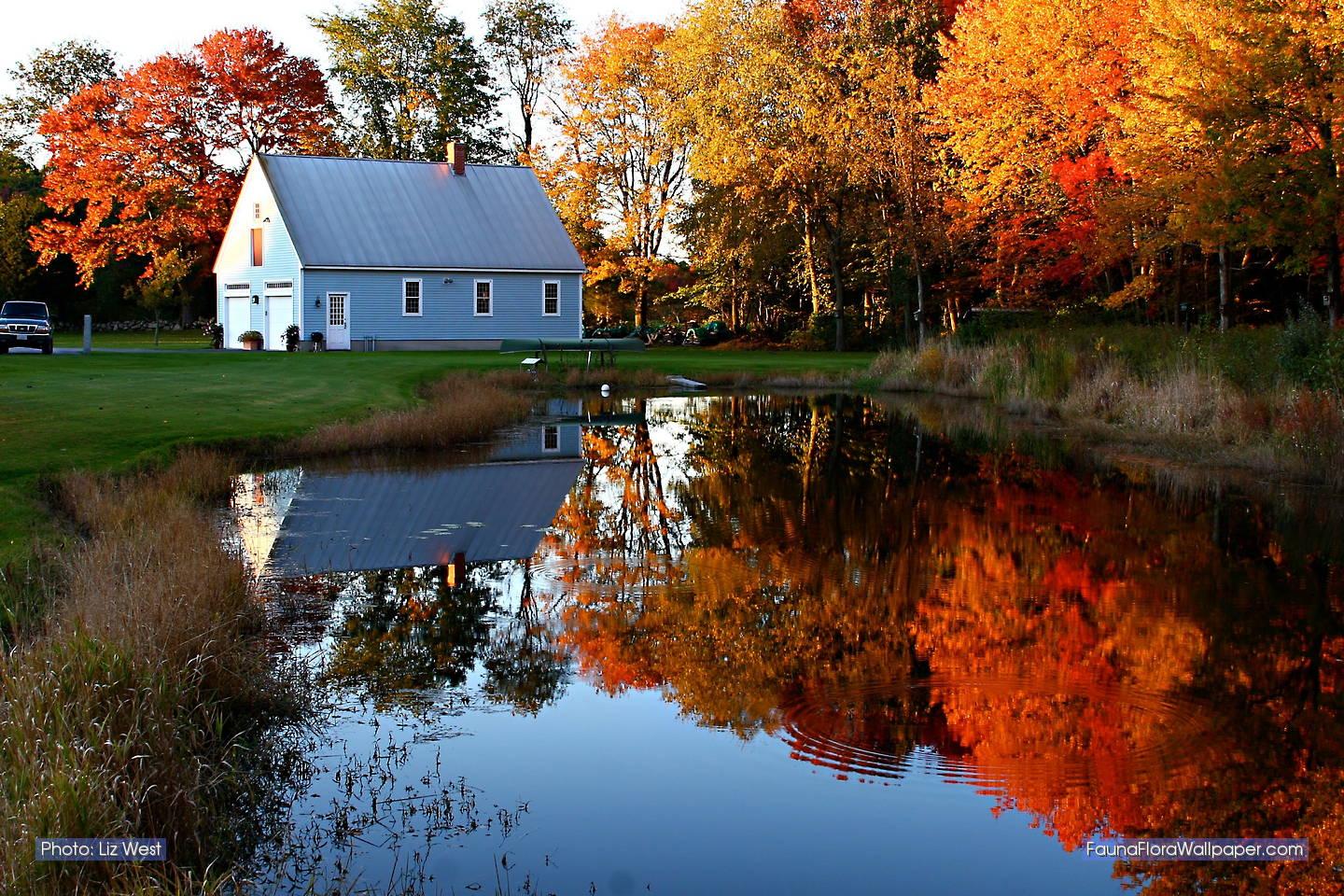 Free download New England in the Autumn Fall