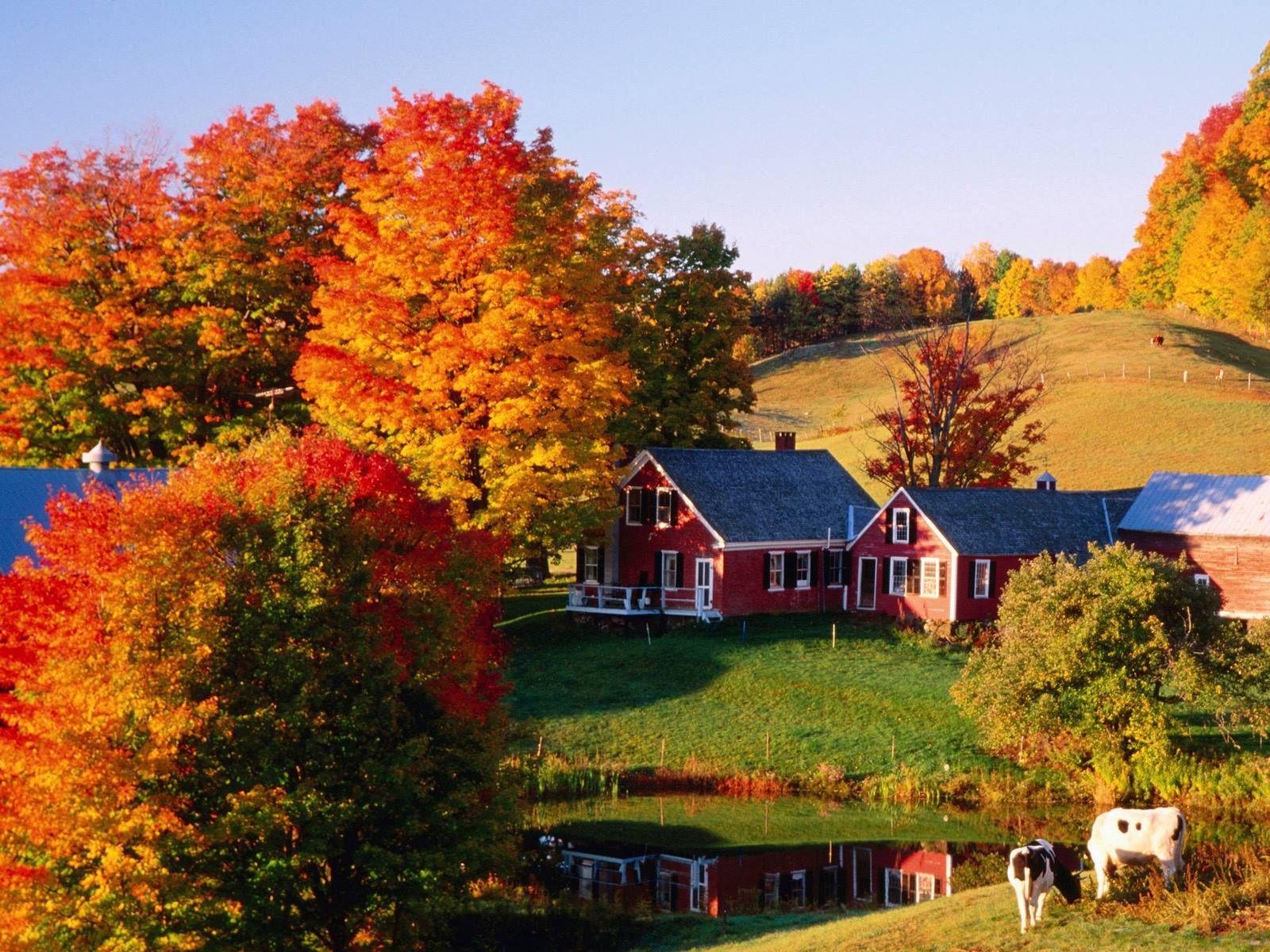 Autumn in Vermont, New England. Vermont farms, Fall desktop background, Country barns