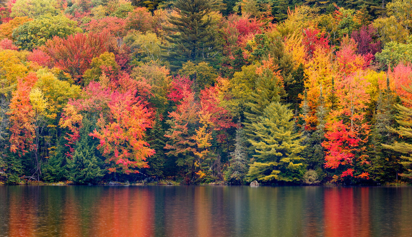 New England Autumn Foliage