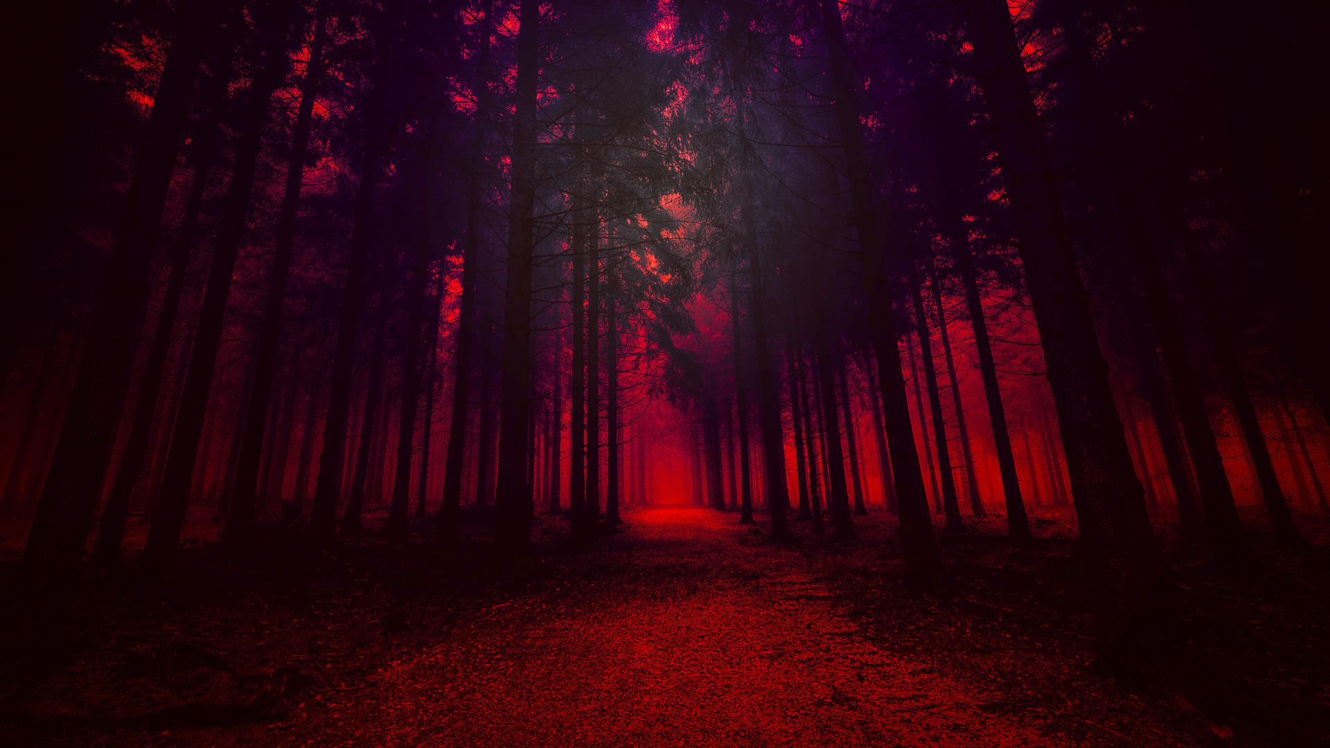 Artistic Red Forest, HD Nature, 4k Wallpaper, Image
