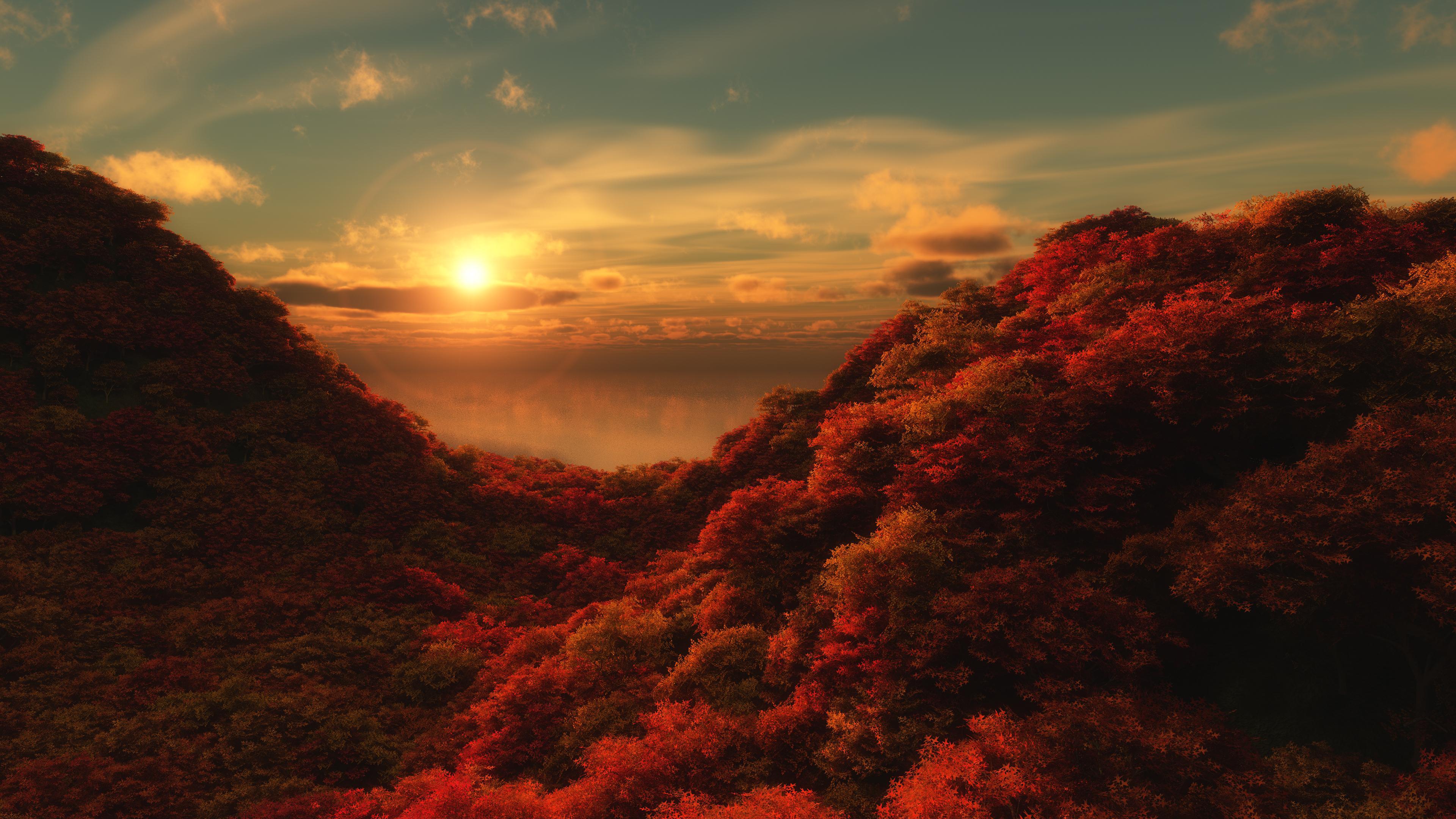 Sun shining on the red forest HD desktop wallpaper