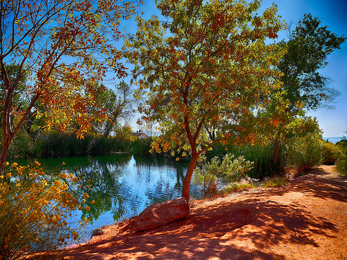 Photos Nature Autumn Pond Trees