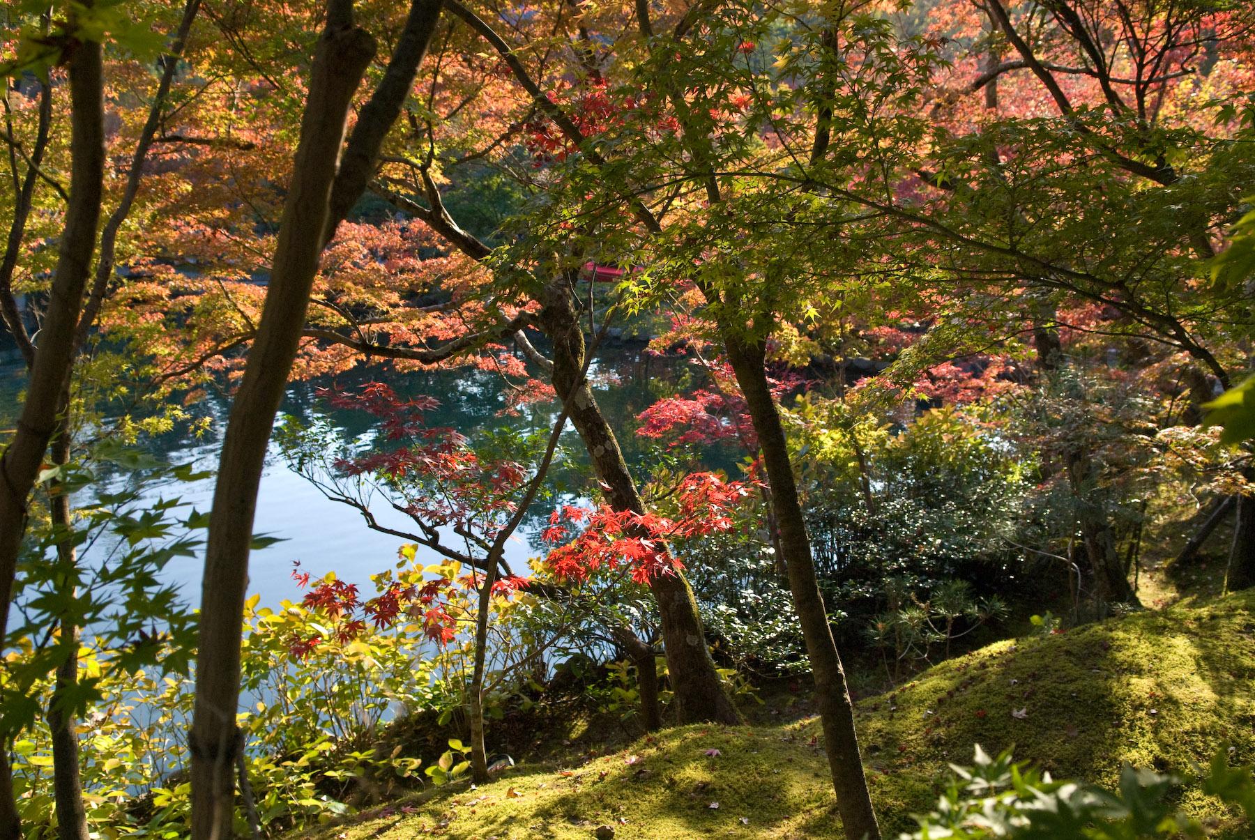 Jeffrey Friedl's Blog Bonanza Of Fall Foliage Desktop