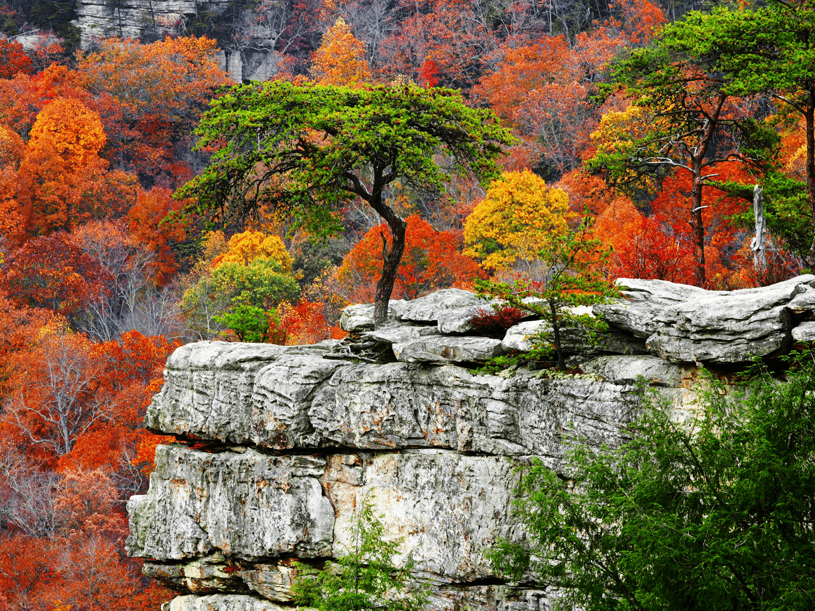 Ravine Cliff Autumn wallpaper
