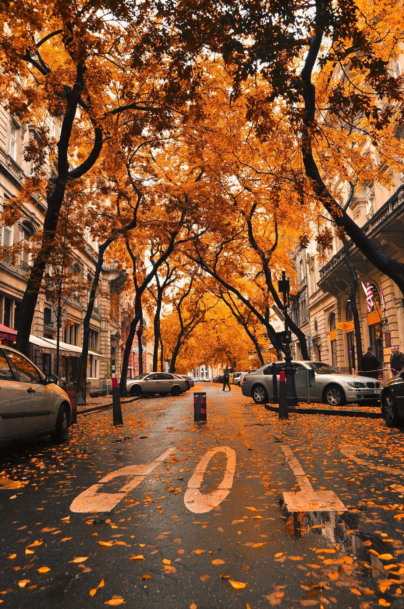 A beautiful autumn day in Budapest.. Fall wallpaper, Scenery, Beautiful landscapes