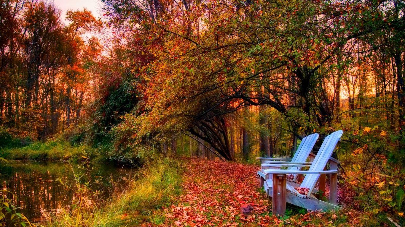 Peaceful Autumn Wallpaper