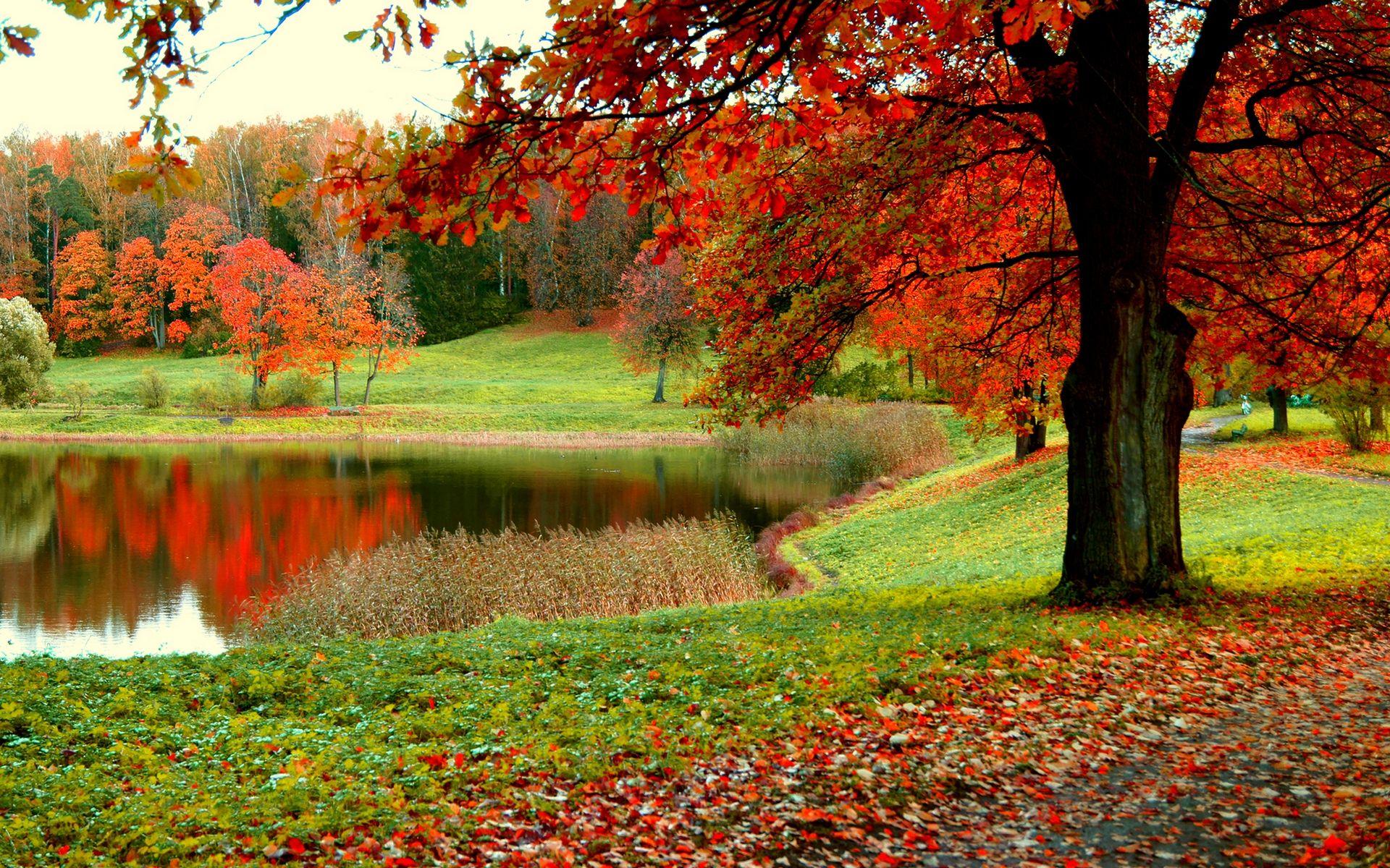 Autumn Pond Wallpapers - Wallpaper Cave