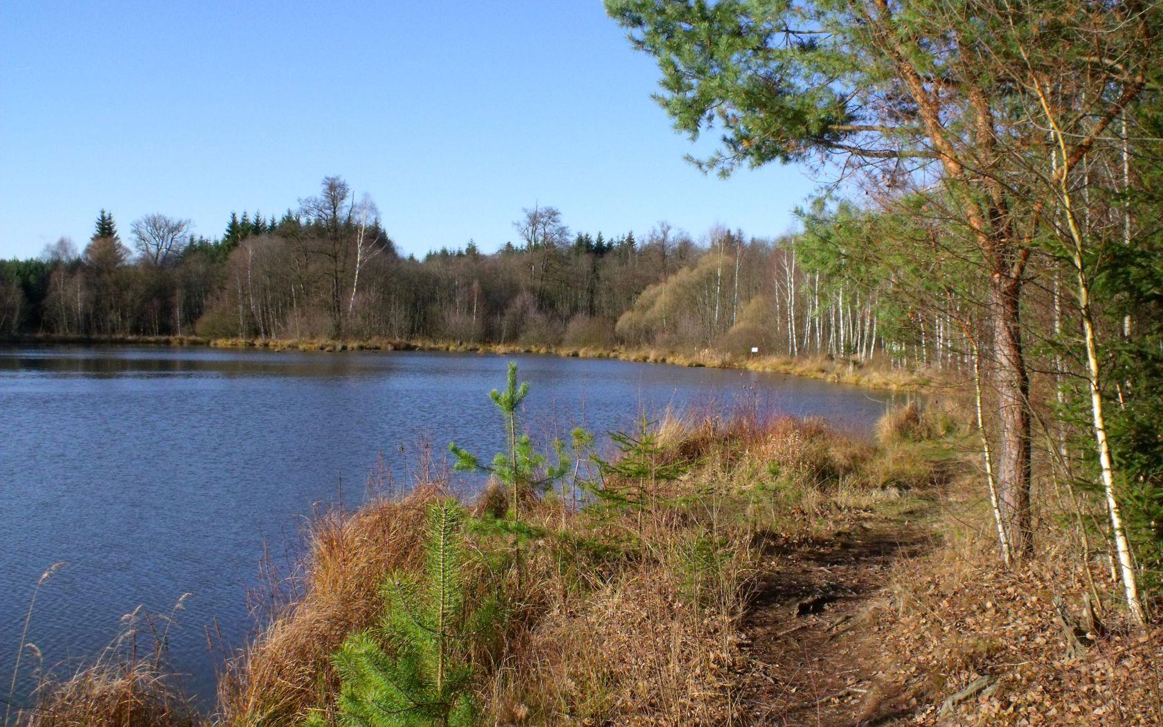 Autumn Pond wallpaper. Autumn Pond