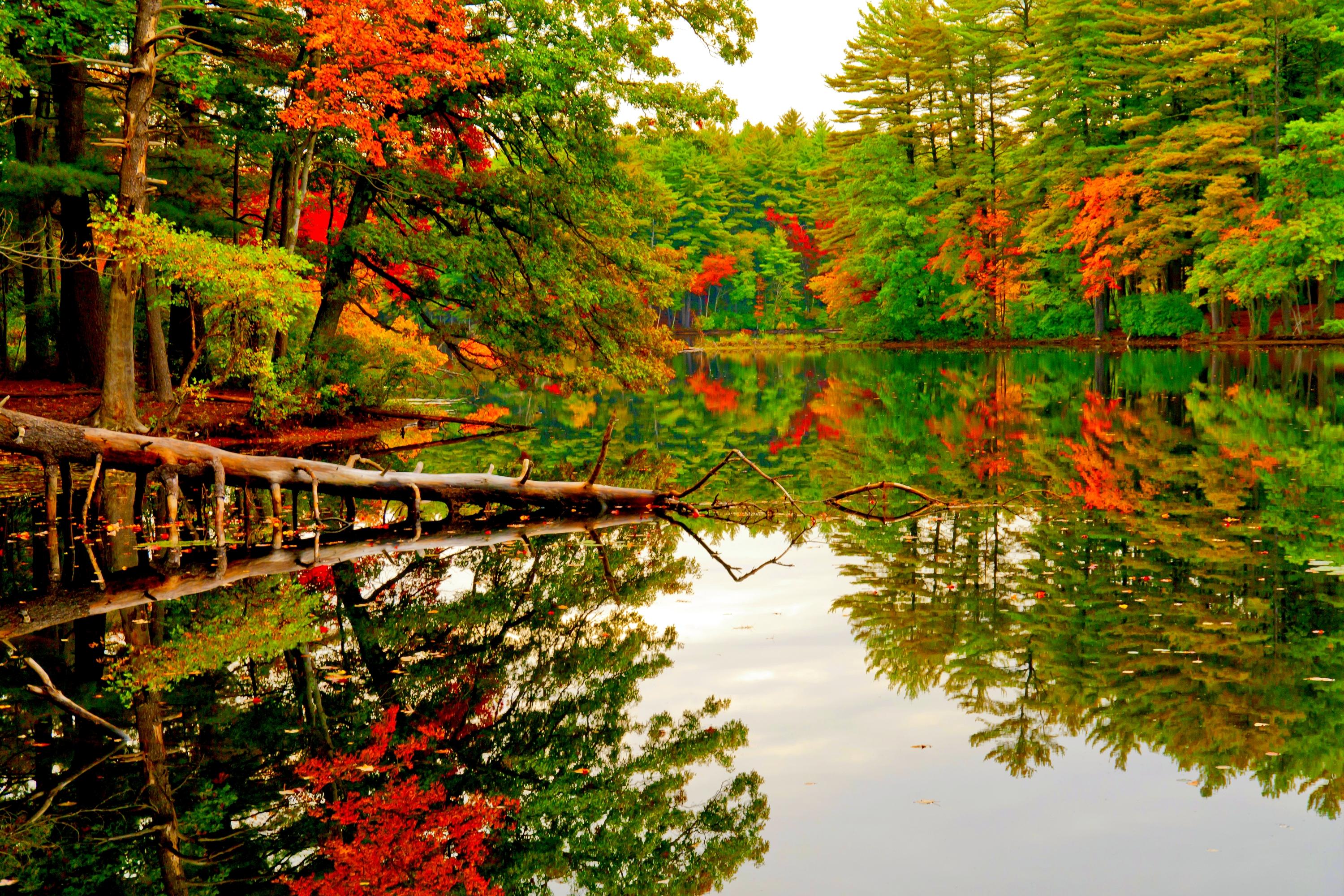 Autumn Pond Wallpapers - Wallpaper Cave