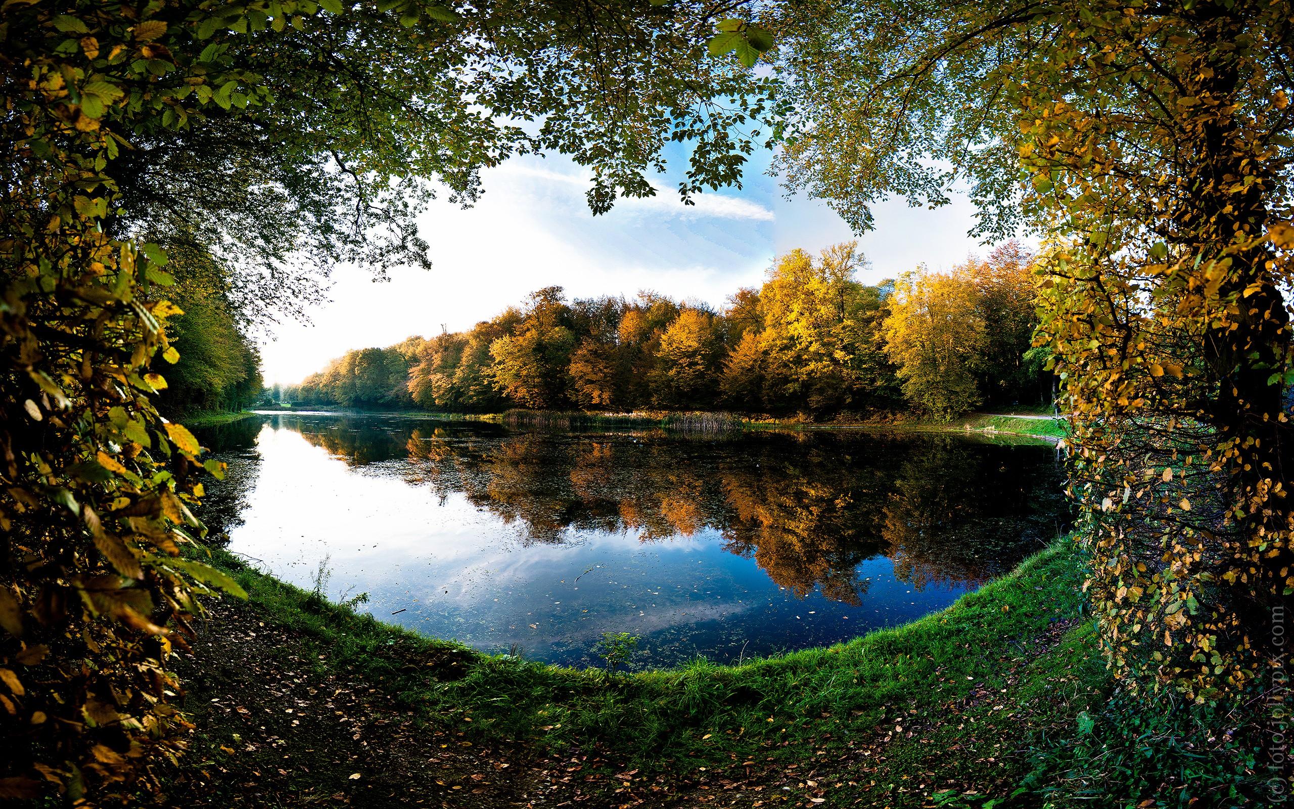 Focus lakes. Лесное озеро. Осенний лес с озером. Осень лес пруд. Красивые водоемы России.