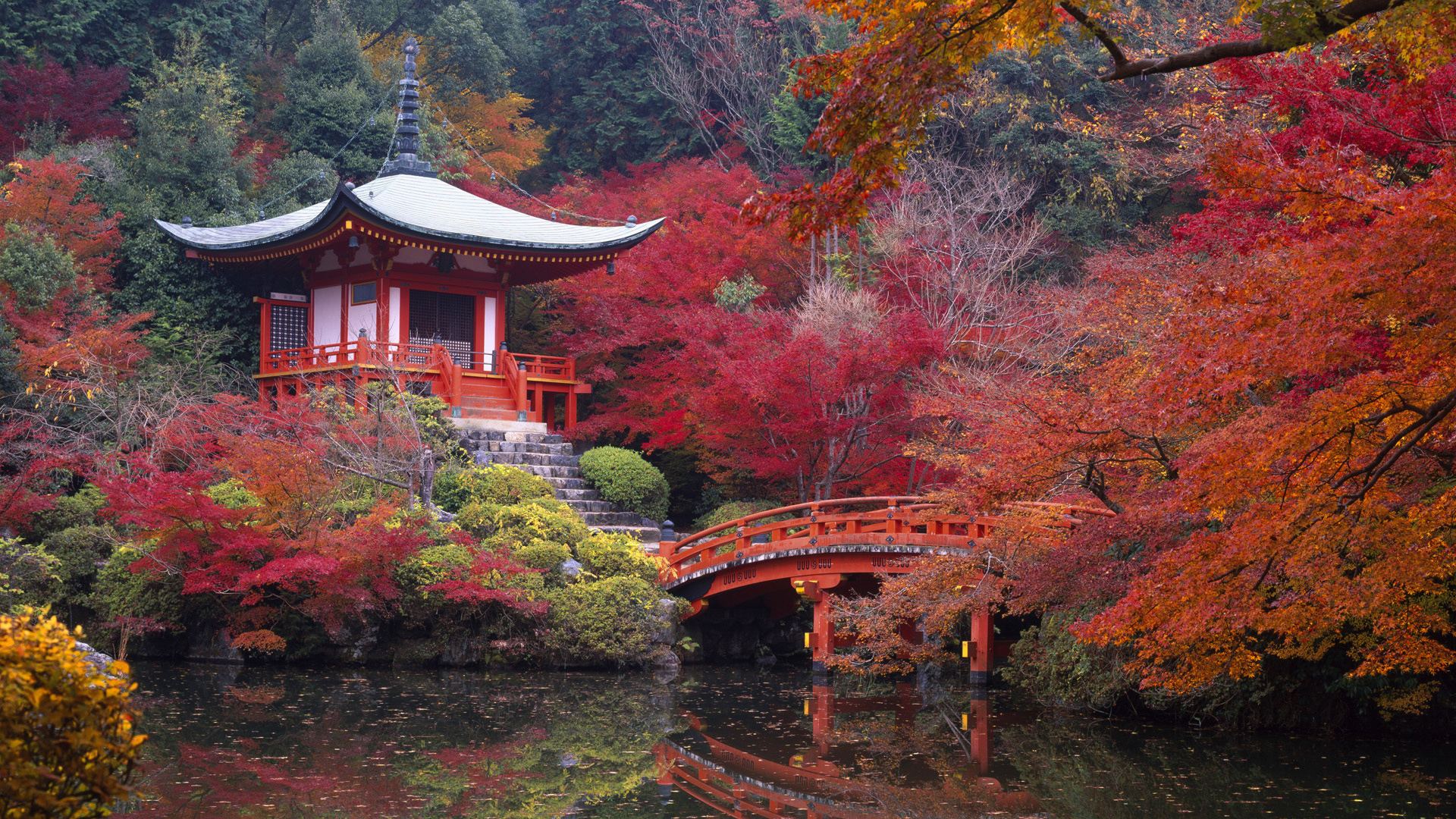 Free download kyoto wallpaper japan Daigo autumn pond forest