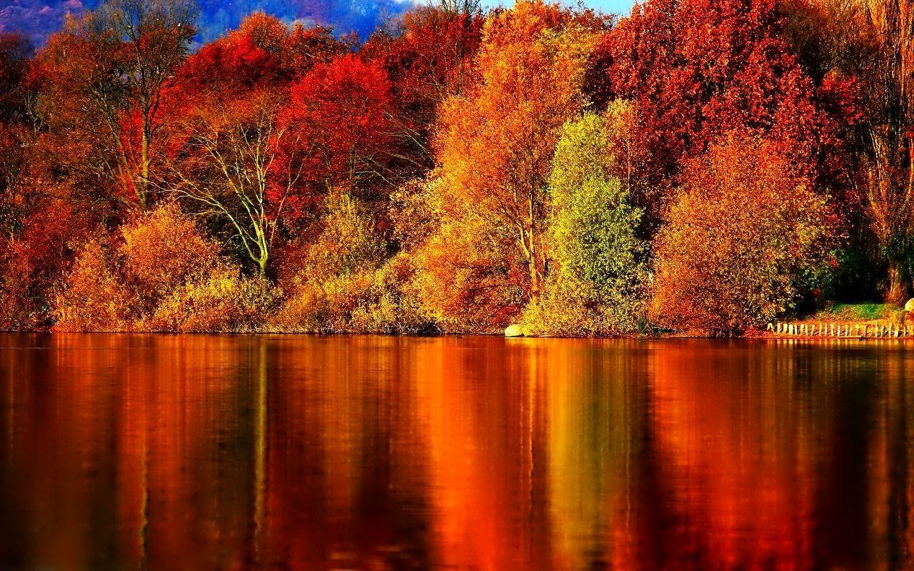 Wallpaper Autumn