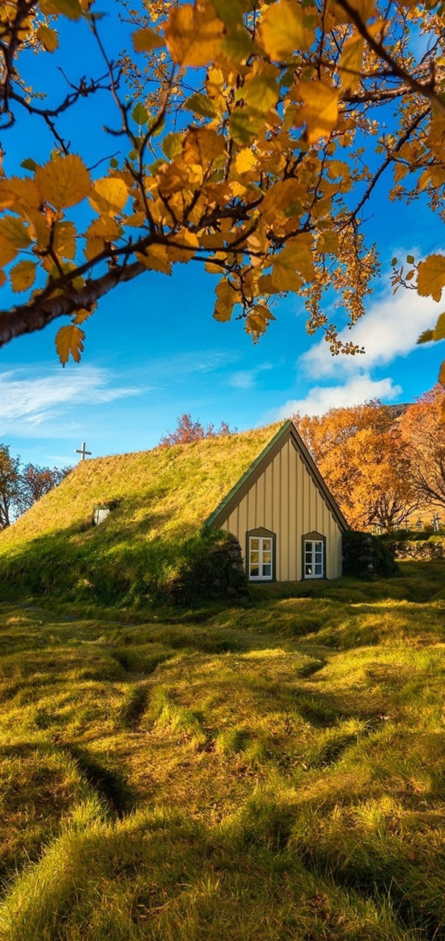 Download 1440x3040 Iceland, Church, Autumn, Fall, Leaves