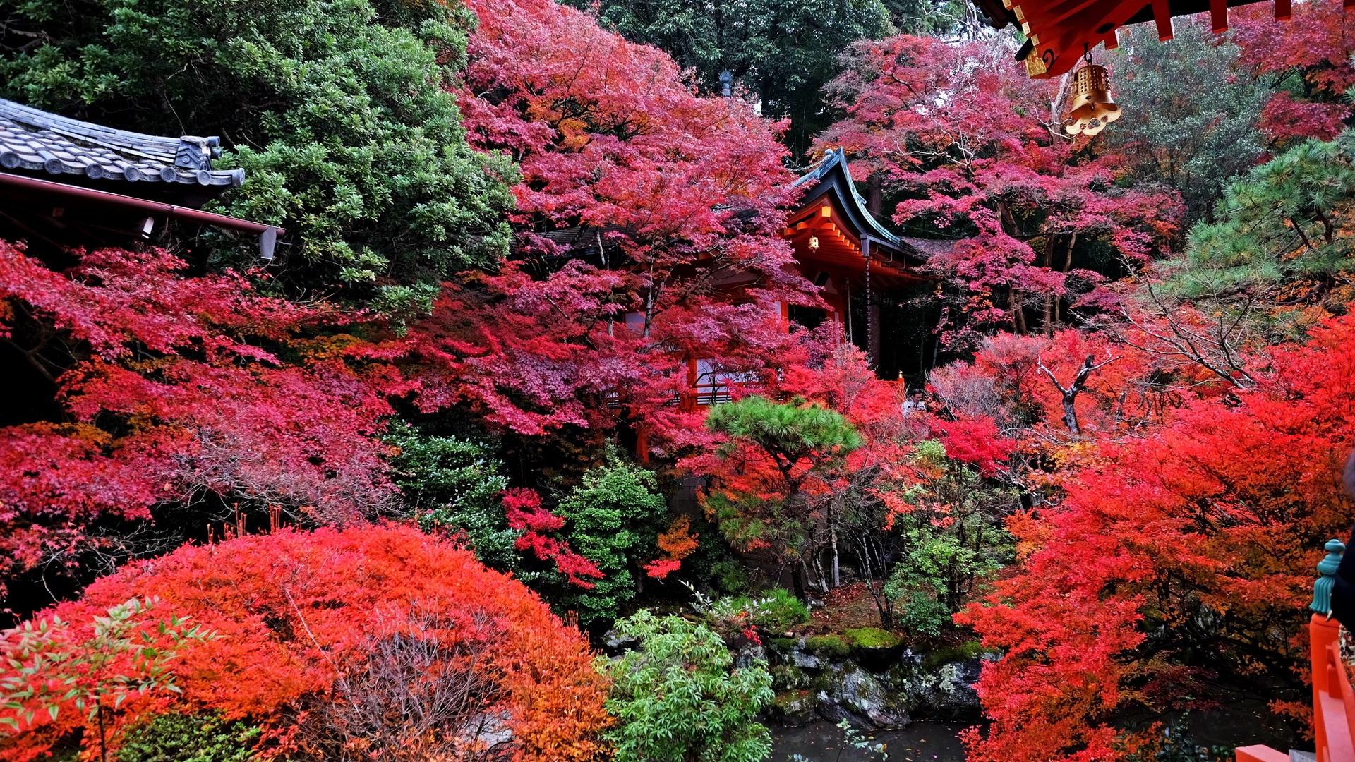 Download wallpaper 1920x1080 temple, autumn, japan, kyoto