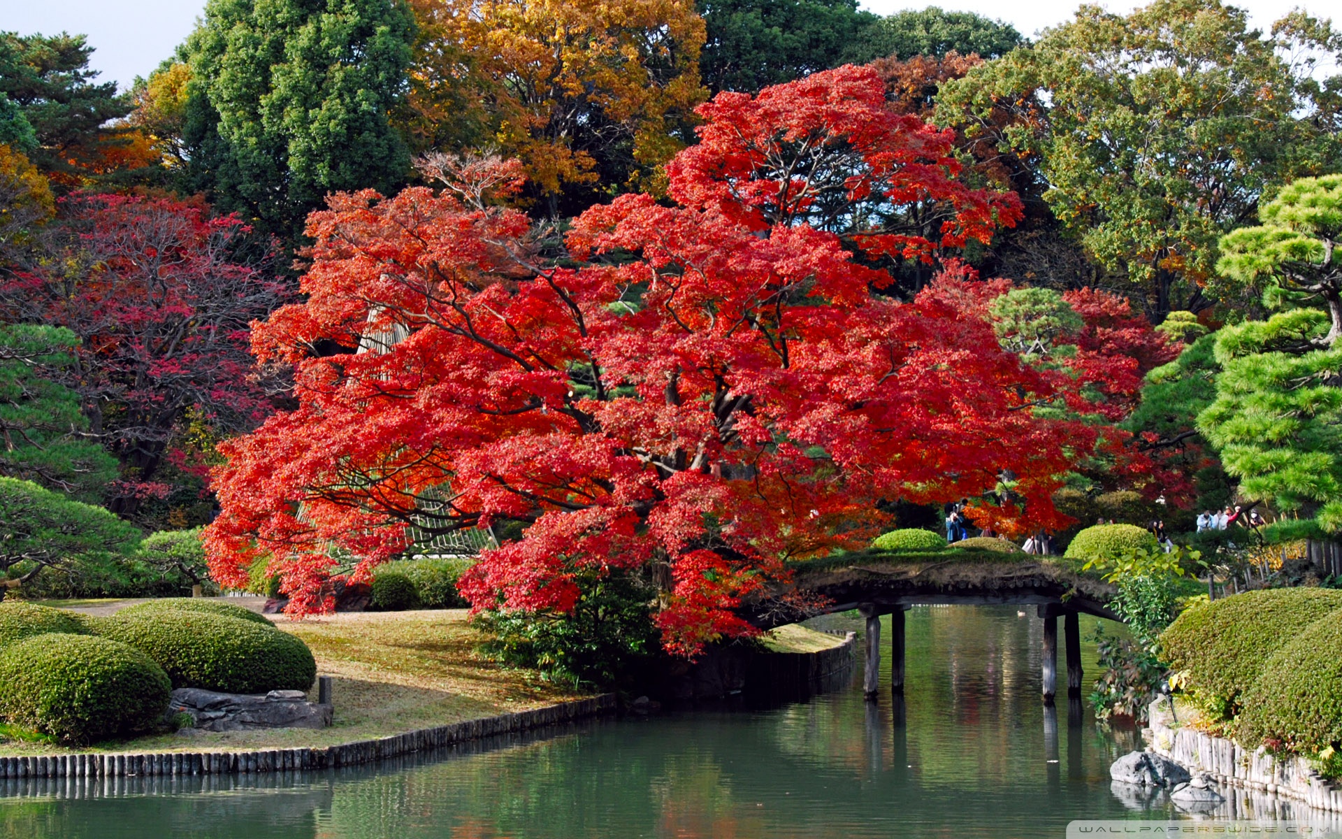 Autumn, Japan ❤ 4K HD Desktop Wallpaper for 4K Ultra HD TV