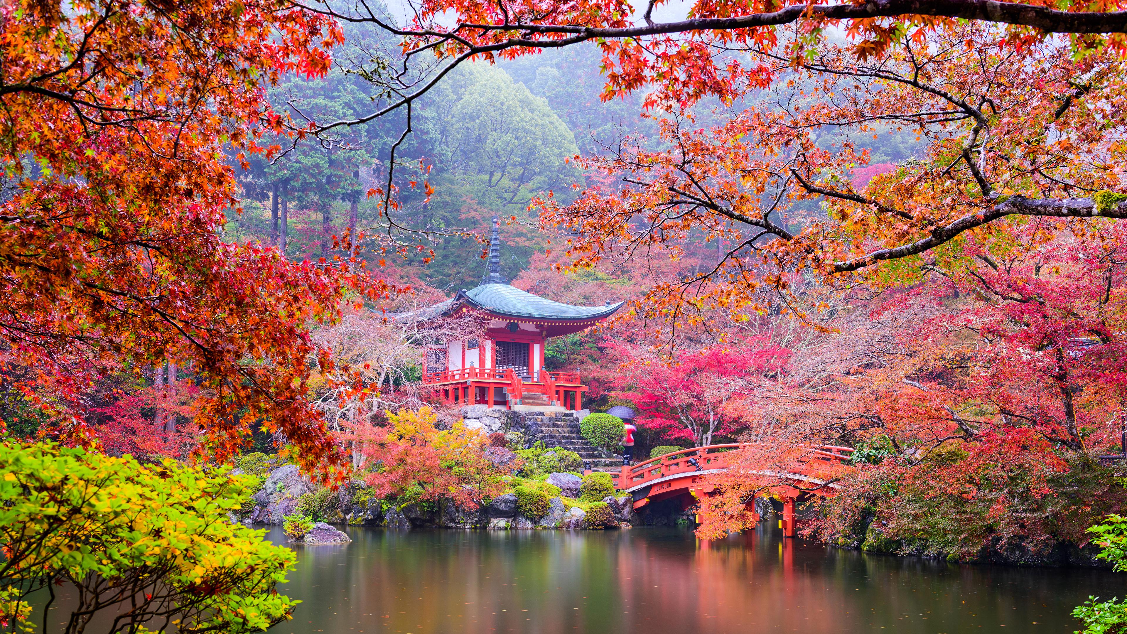 Picture Kyoto Japan Nature Autumn Pond Parks Pagodas 3840x2160