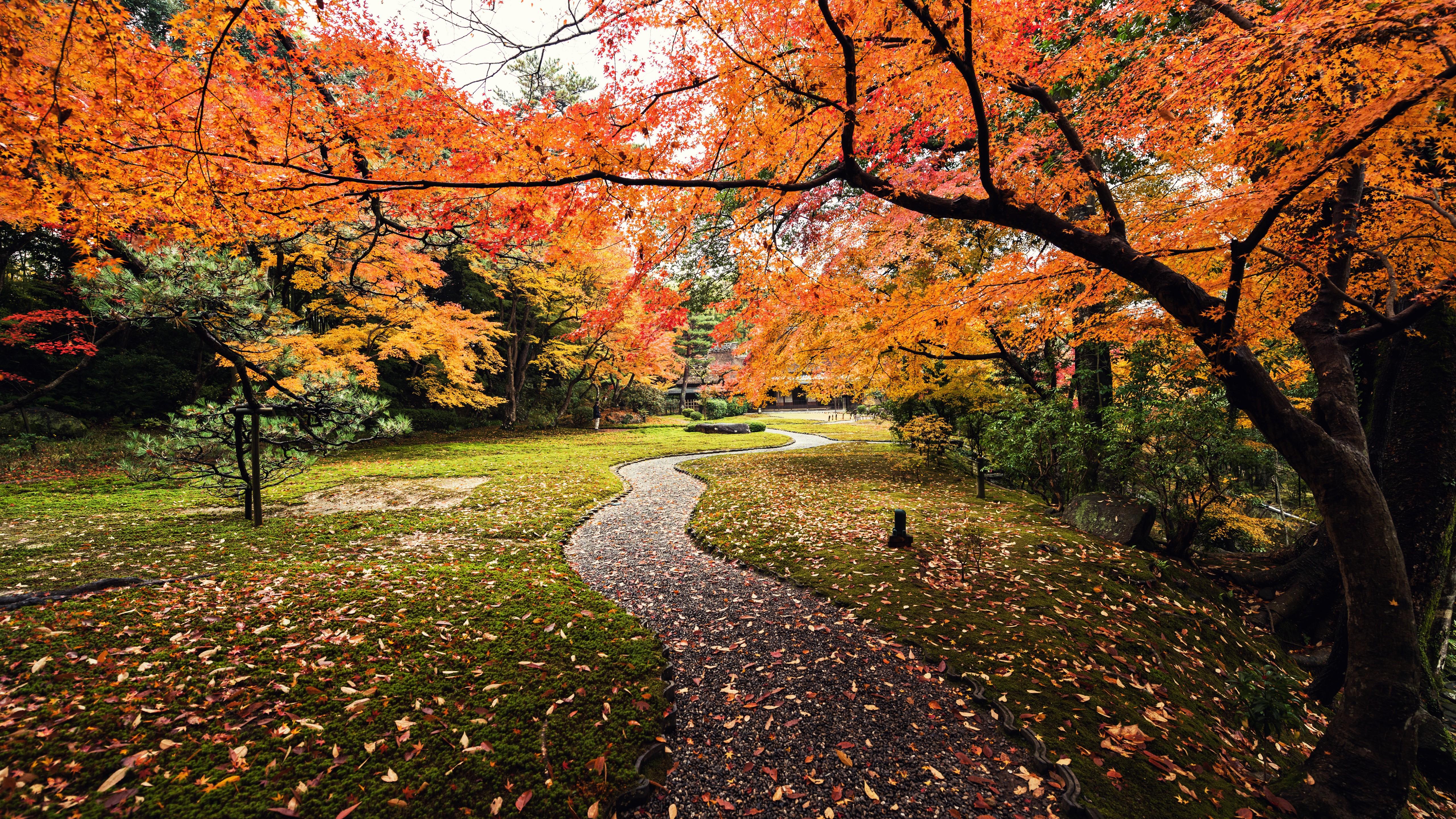 Wallpaper Autumn, Leaves, Yoshikien Garden, Japan, 5K