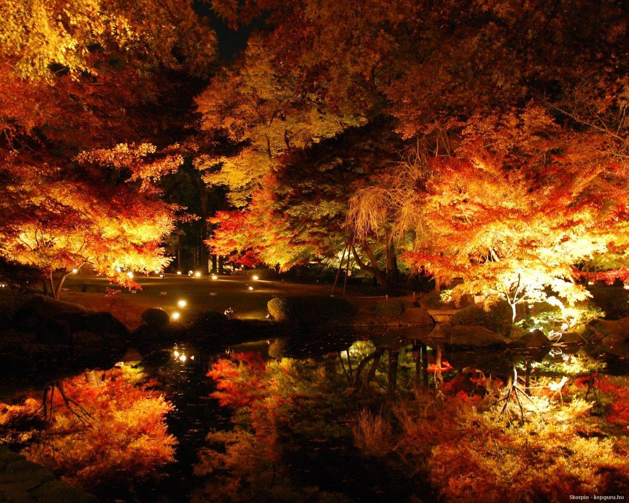 Autumn Night & Nature Background Wallpaper