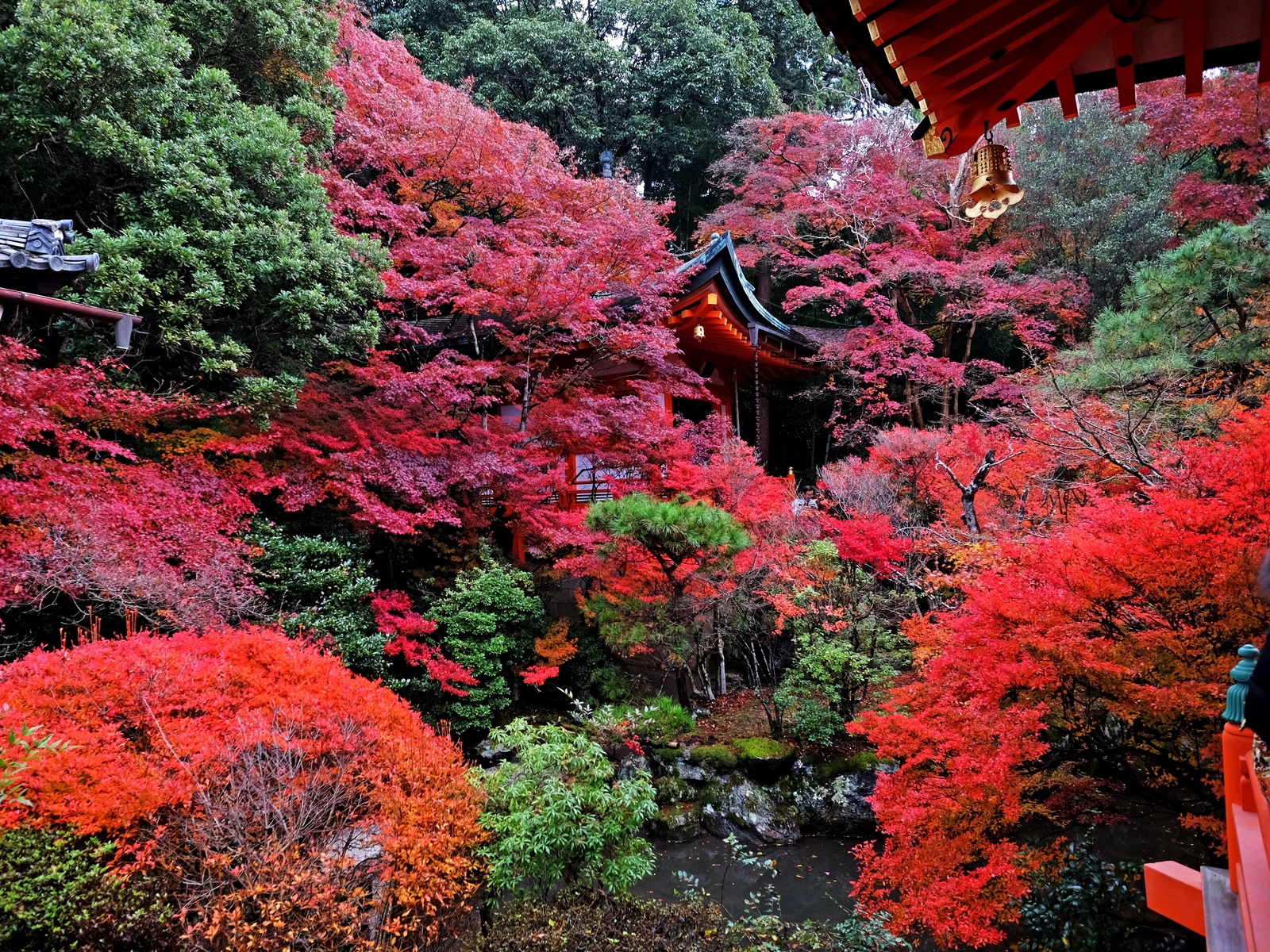 Download wallpaper 1600x1200 temple, autumn, japan, kyoto