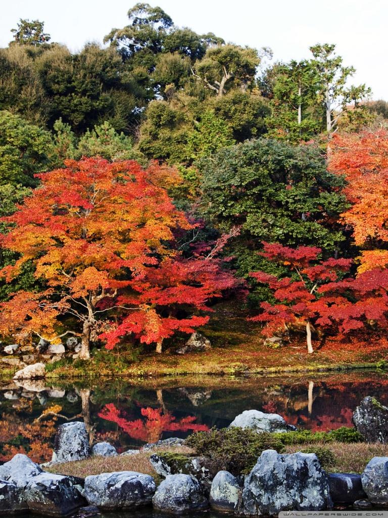 Autumn, Japan Ultra HD Desktop Background Wallpaper for: Tablet