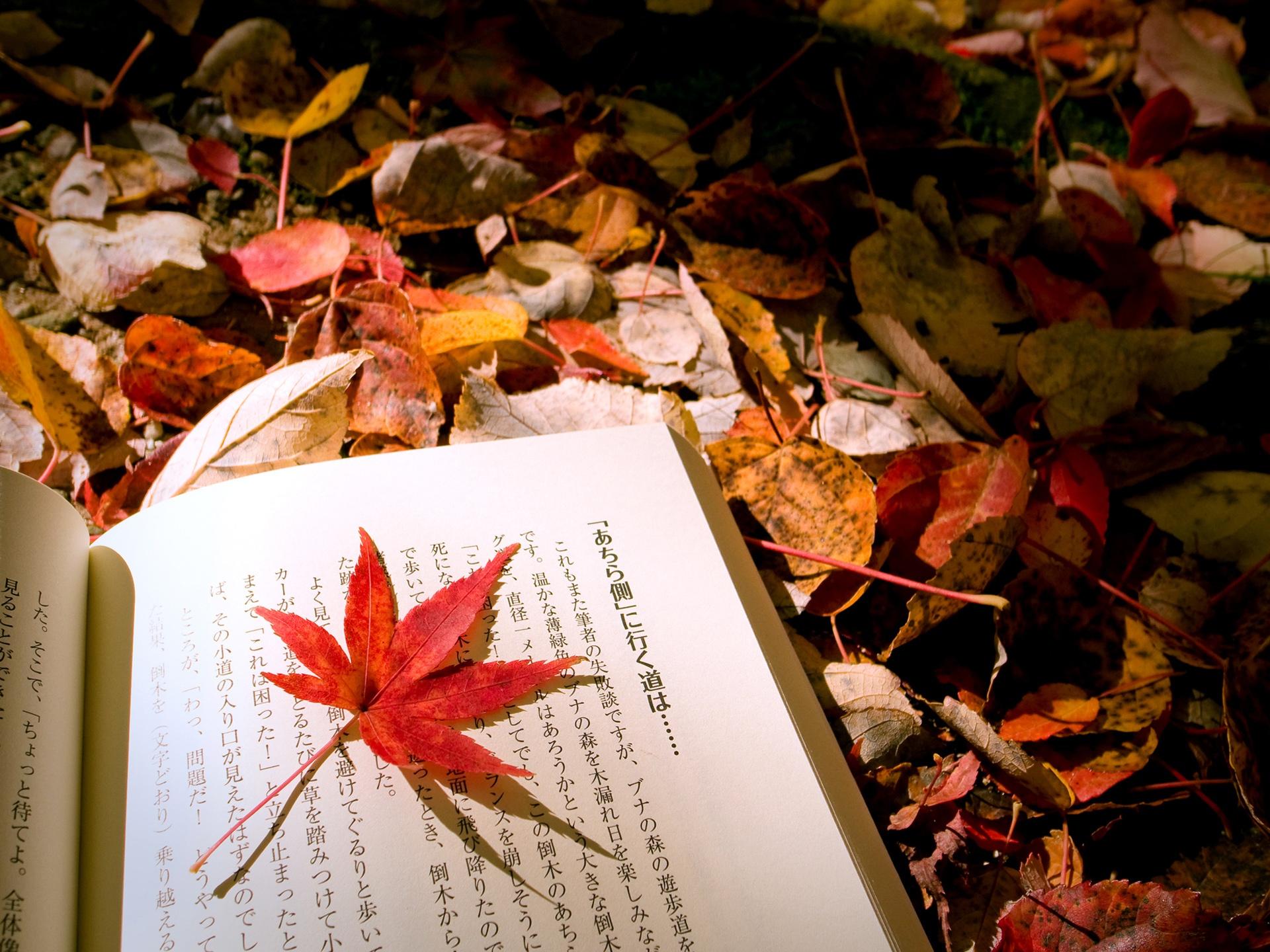 Wallpaper Autumn leaves Japanese book 1920x1440 HD Picture, Image