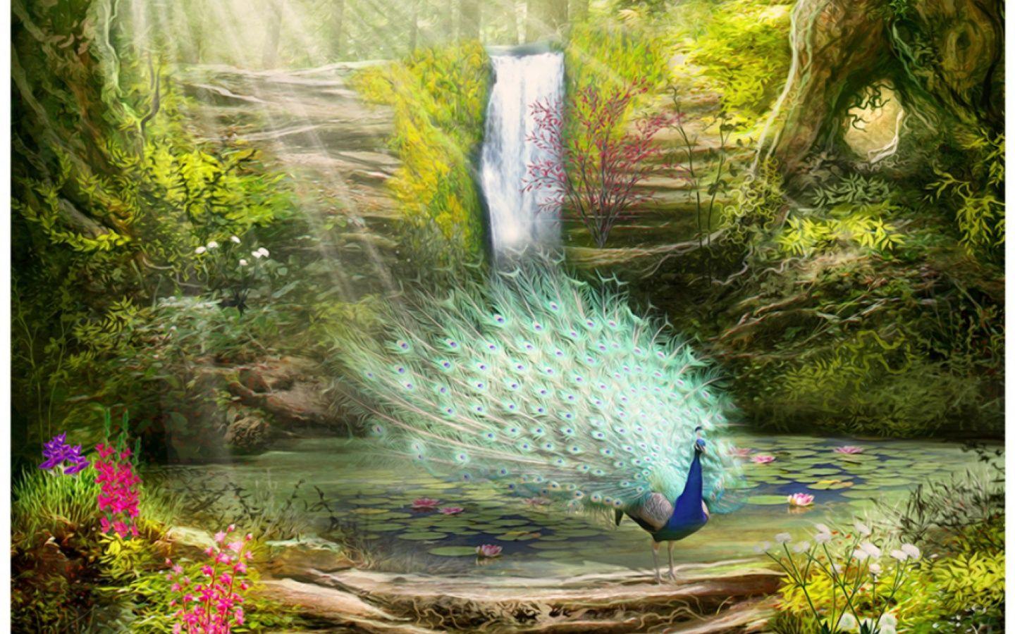 Peacock paradise lake flower waterfall HD Wallpaper