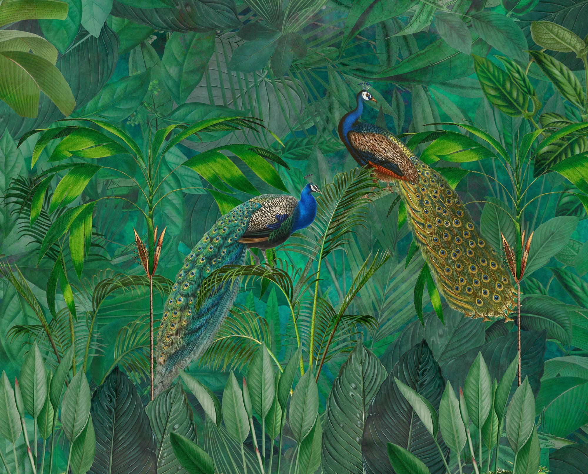 Peacock Paradise Jungle