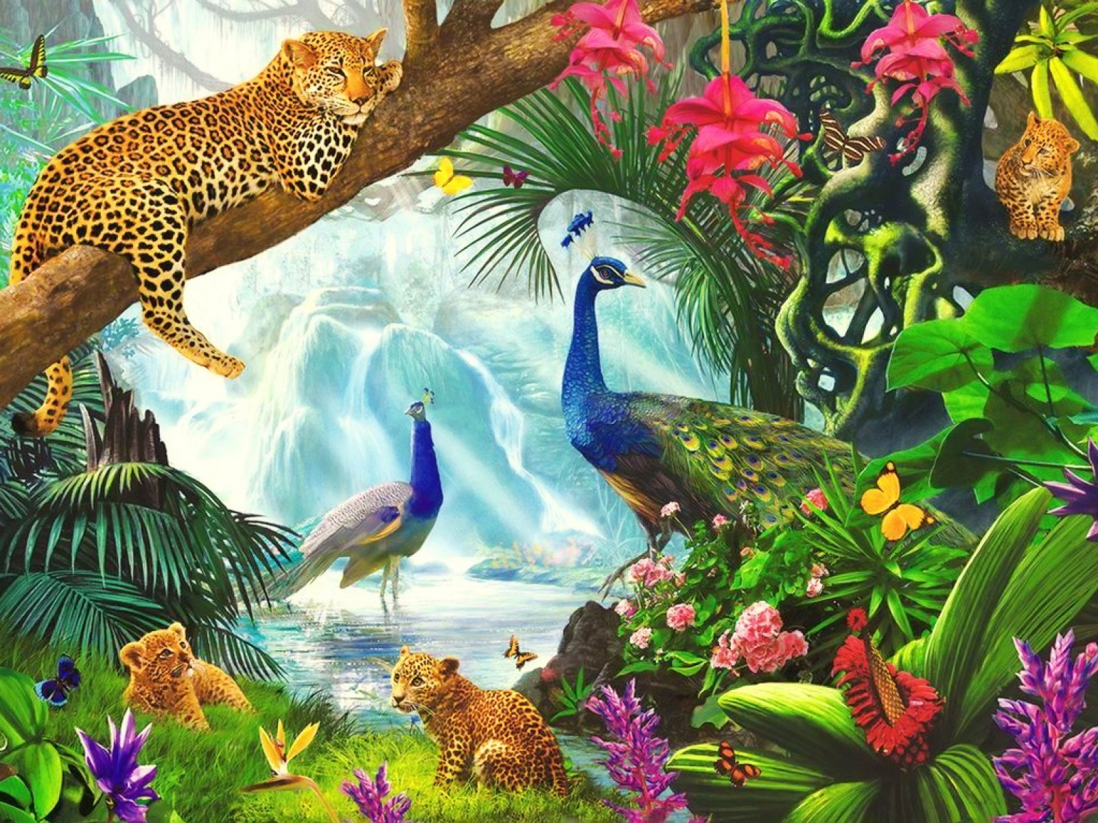 Lovely Wild Animals Paradise wallpaper. Lovely Wild