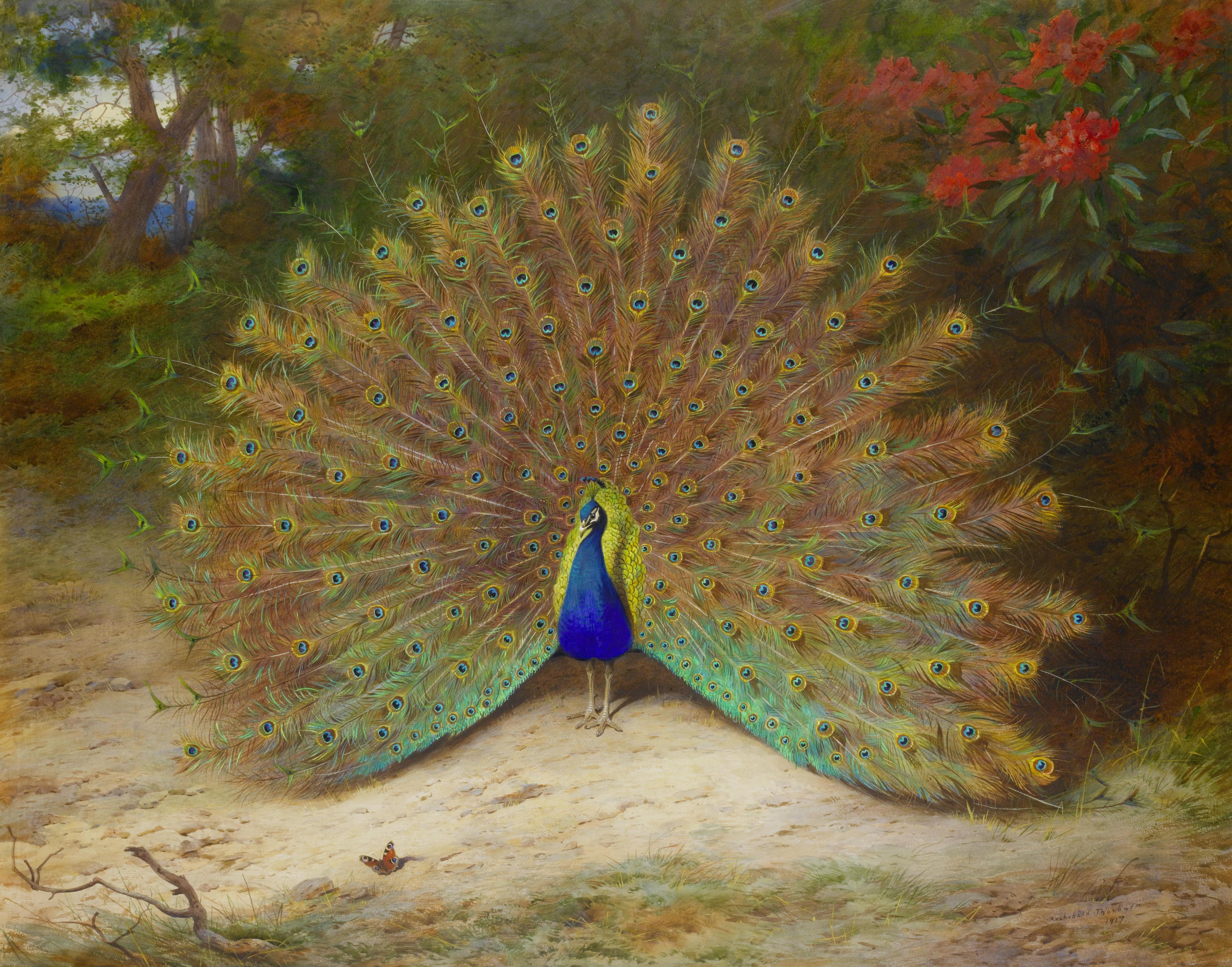 The Peacock in Myth, Legend, and 19th Century History