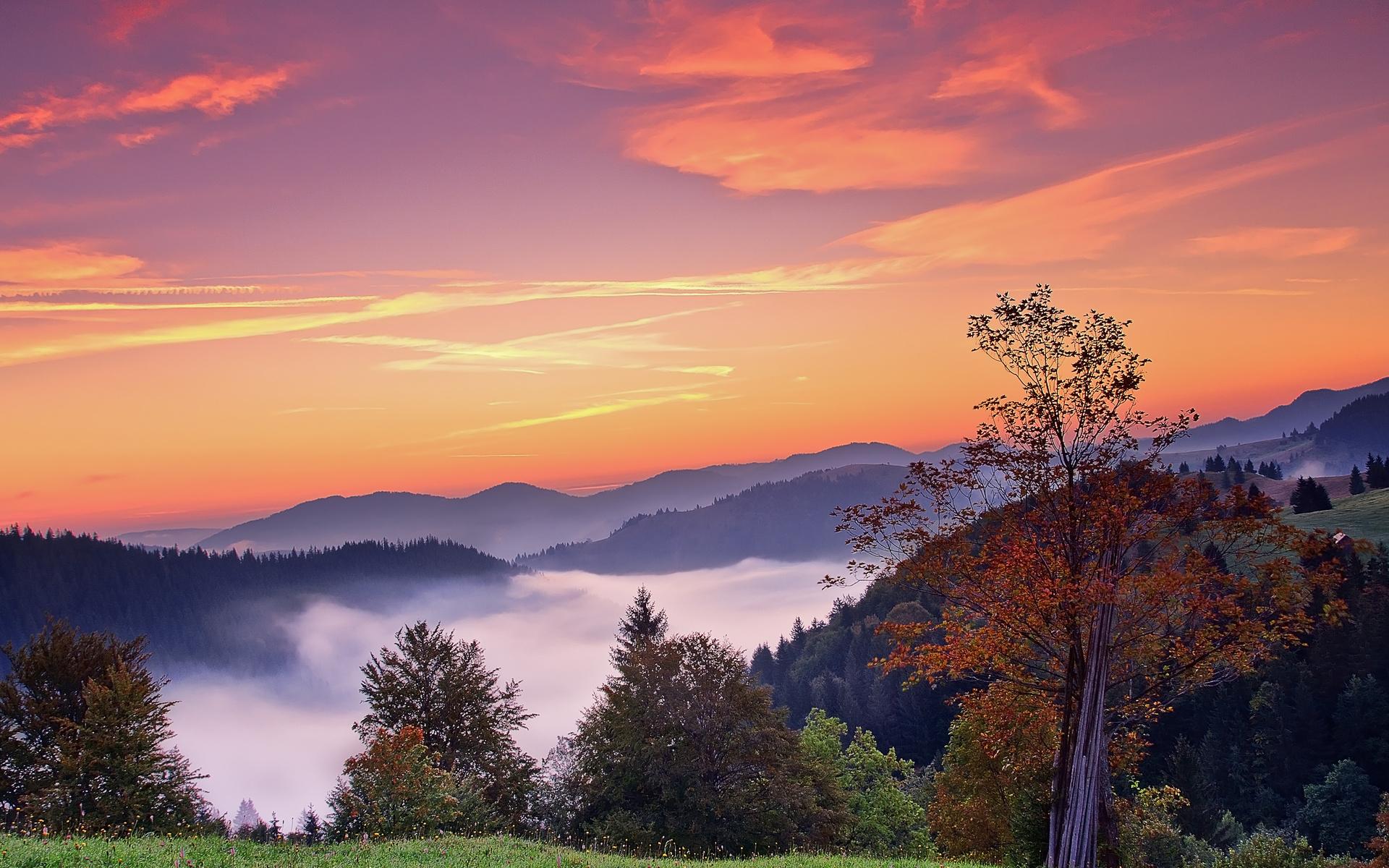 Sunset mountains trees fall landscape autumn fog sunrise wallpaperx1200