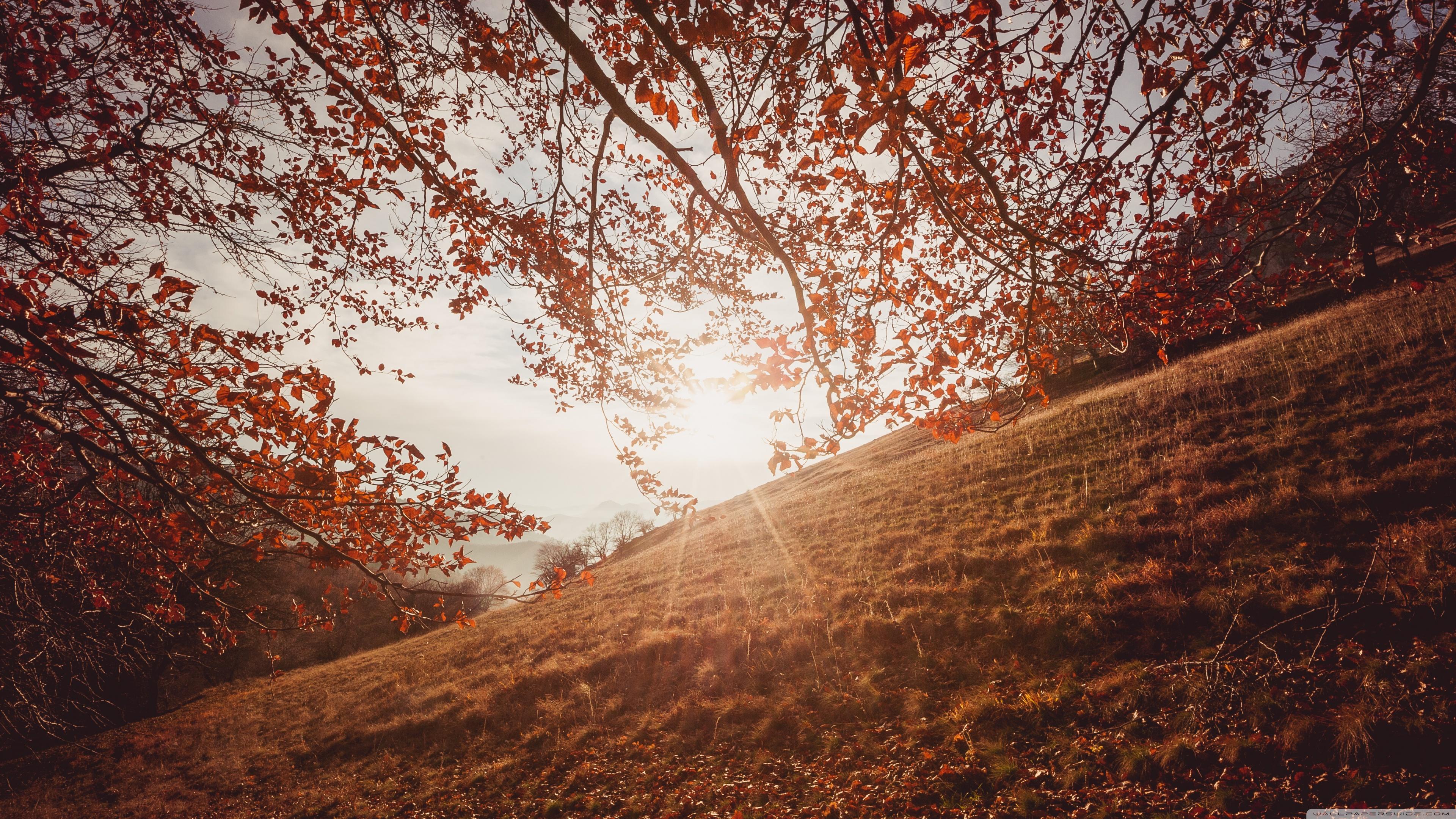 Autumn Sunset in Trascau Mountains, Romania ❤ 4K HD Desktop