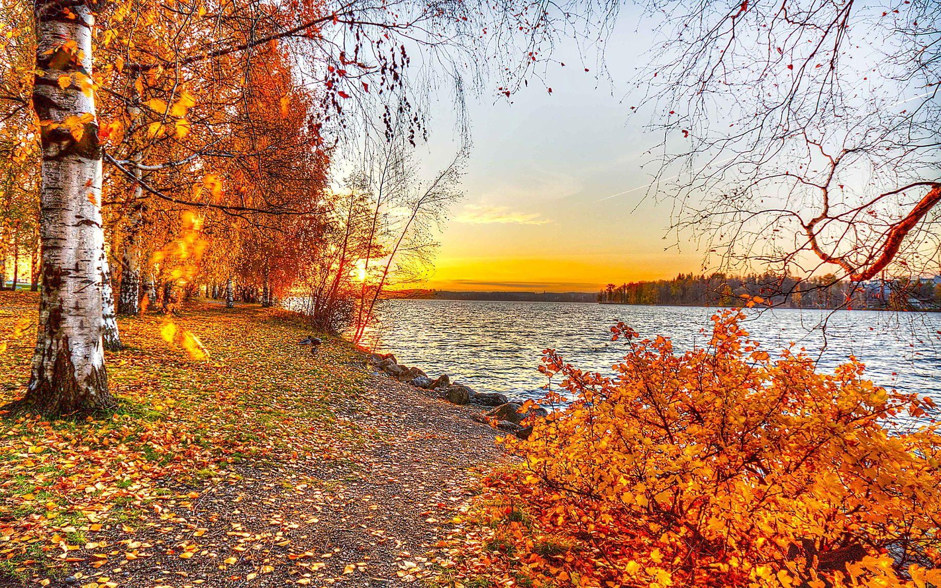 solar #autumn #sunset. Autumn Sunsets. Autumn lake, Sunset