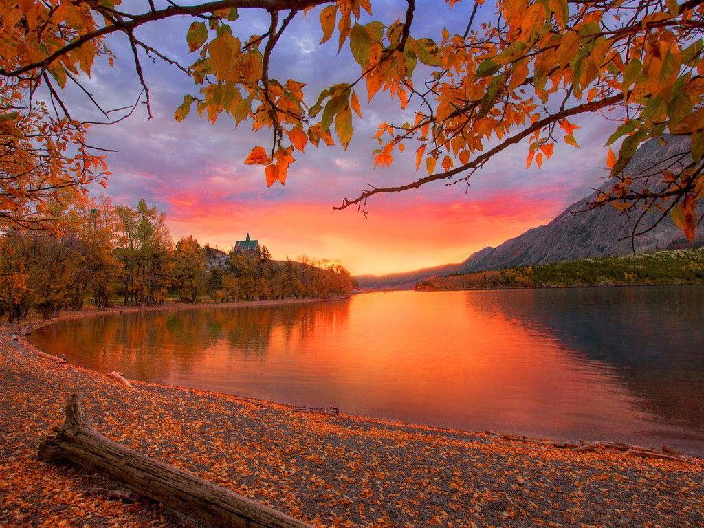 Fall Lake Sunset Wallpaper