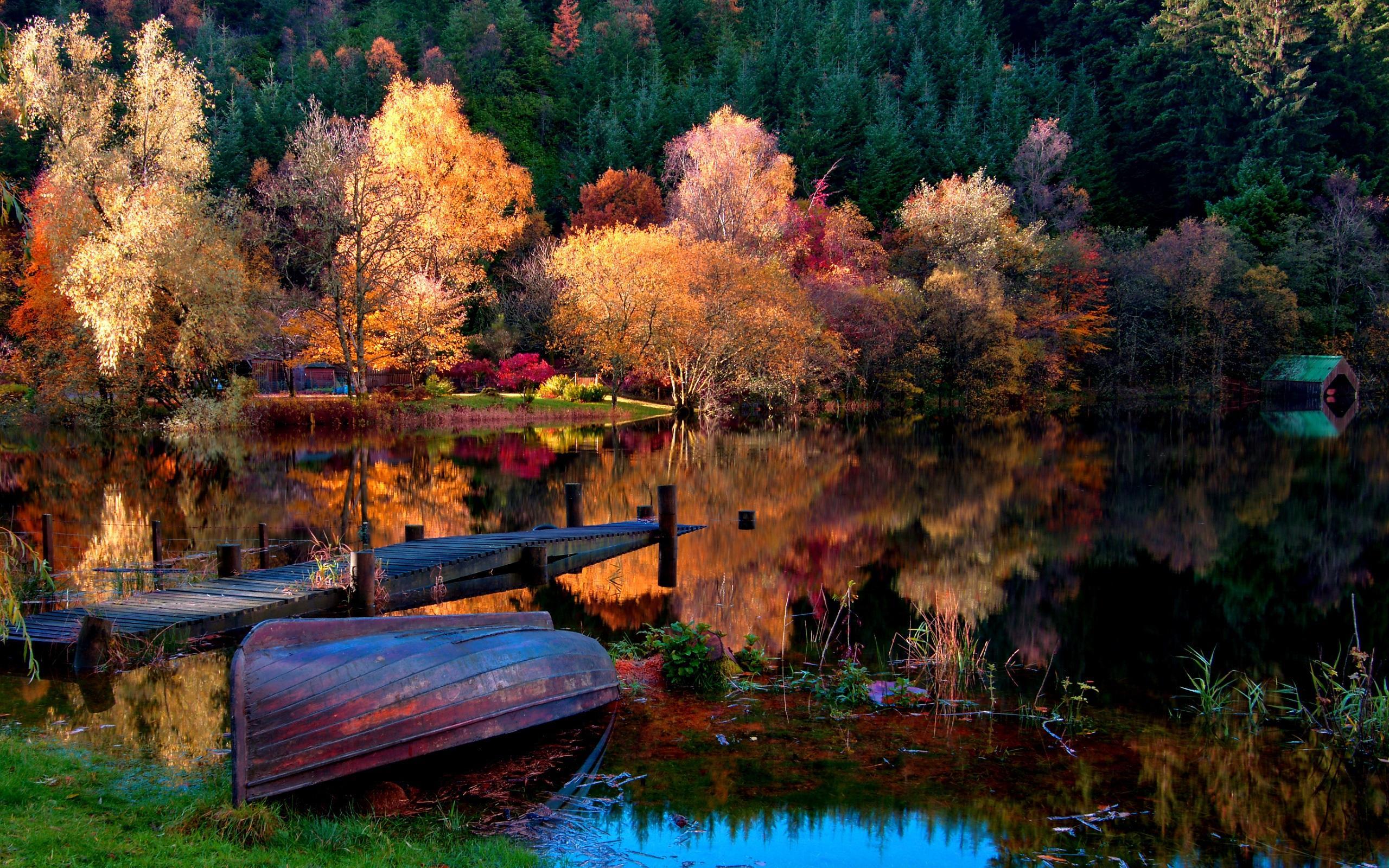 Wallpaper The autumn lake forest morning 2560x1600 HD