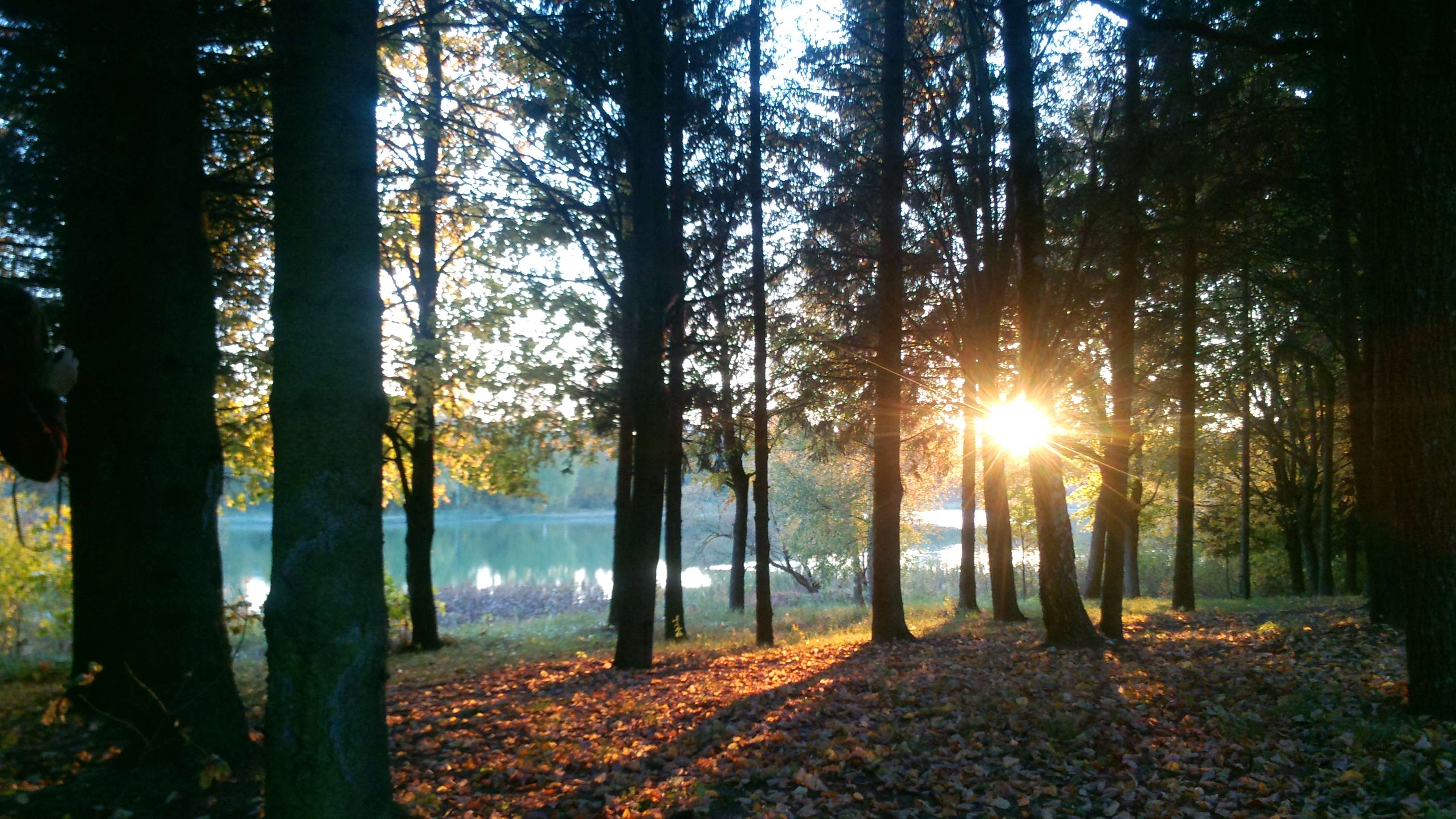 autumn mood forest, forest, lake, sunset wallpaper