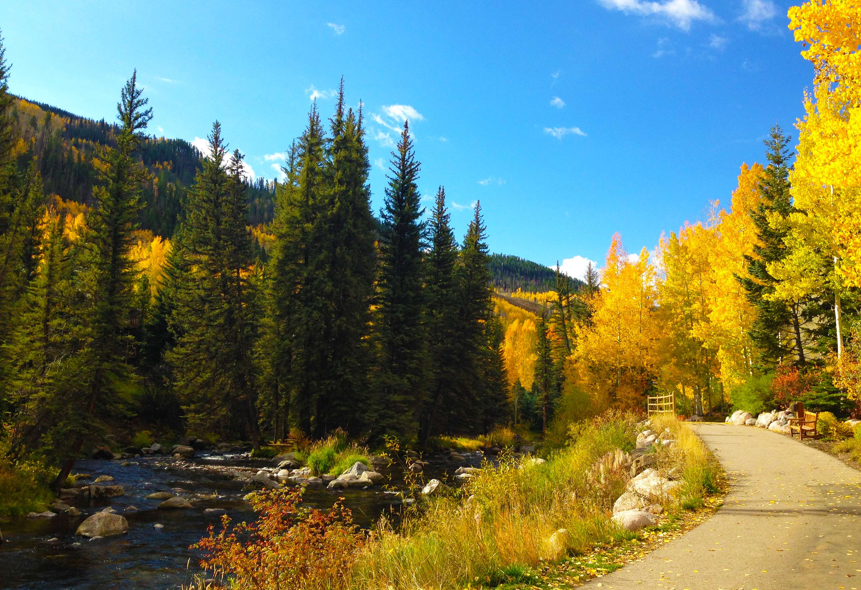 aspen, autumn, creek, fall, mountain, path, trail