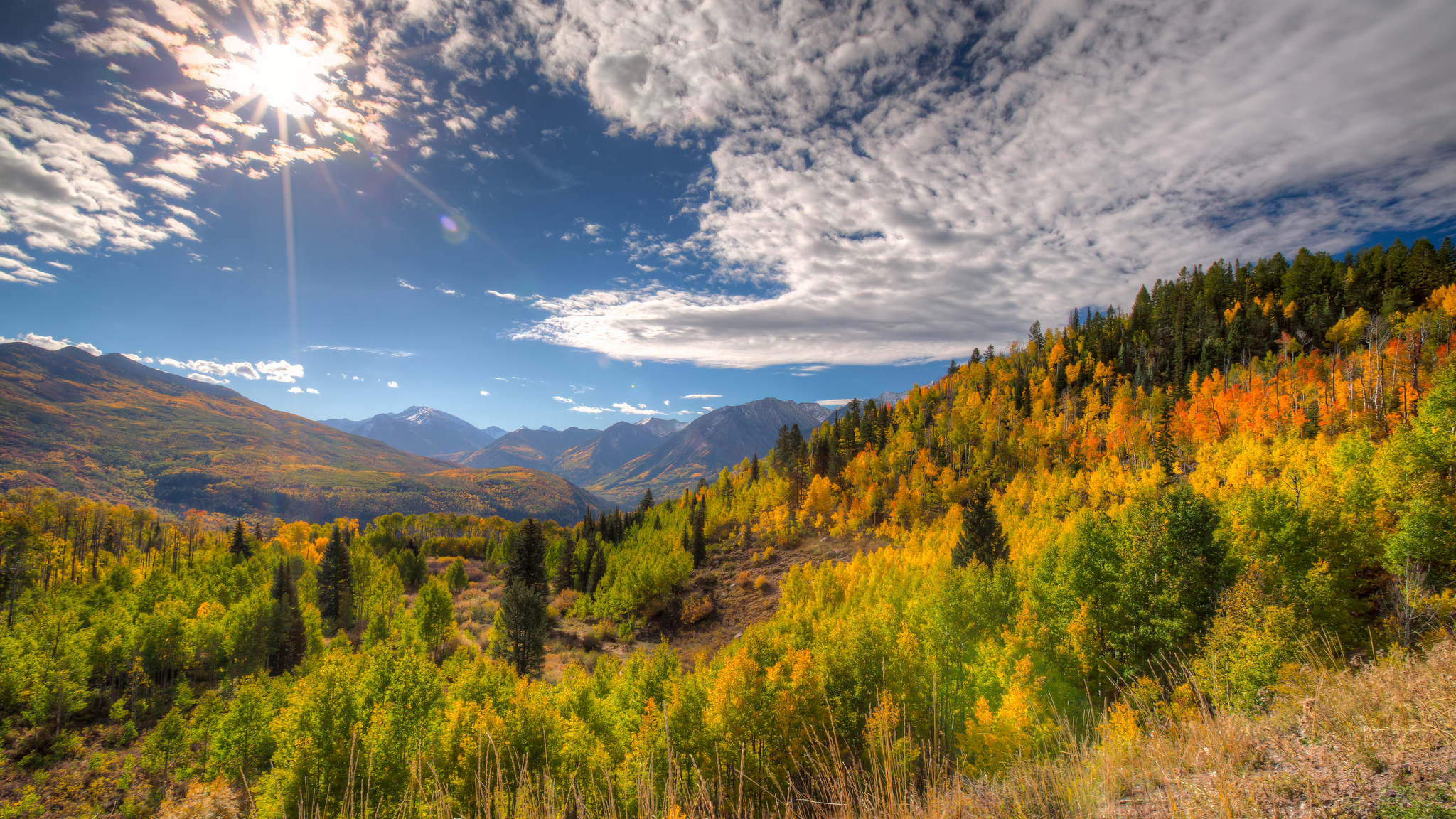 Experience Autumn in the Rockies: Behold the Quaking Aspen