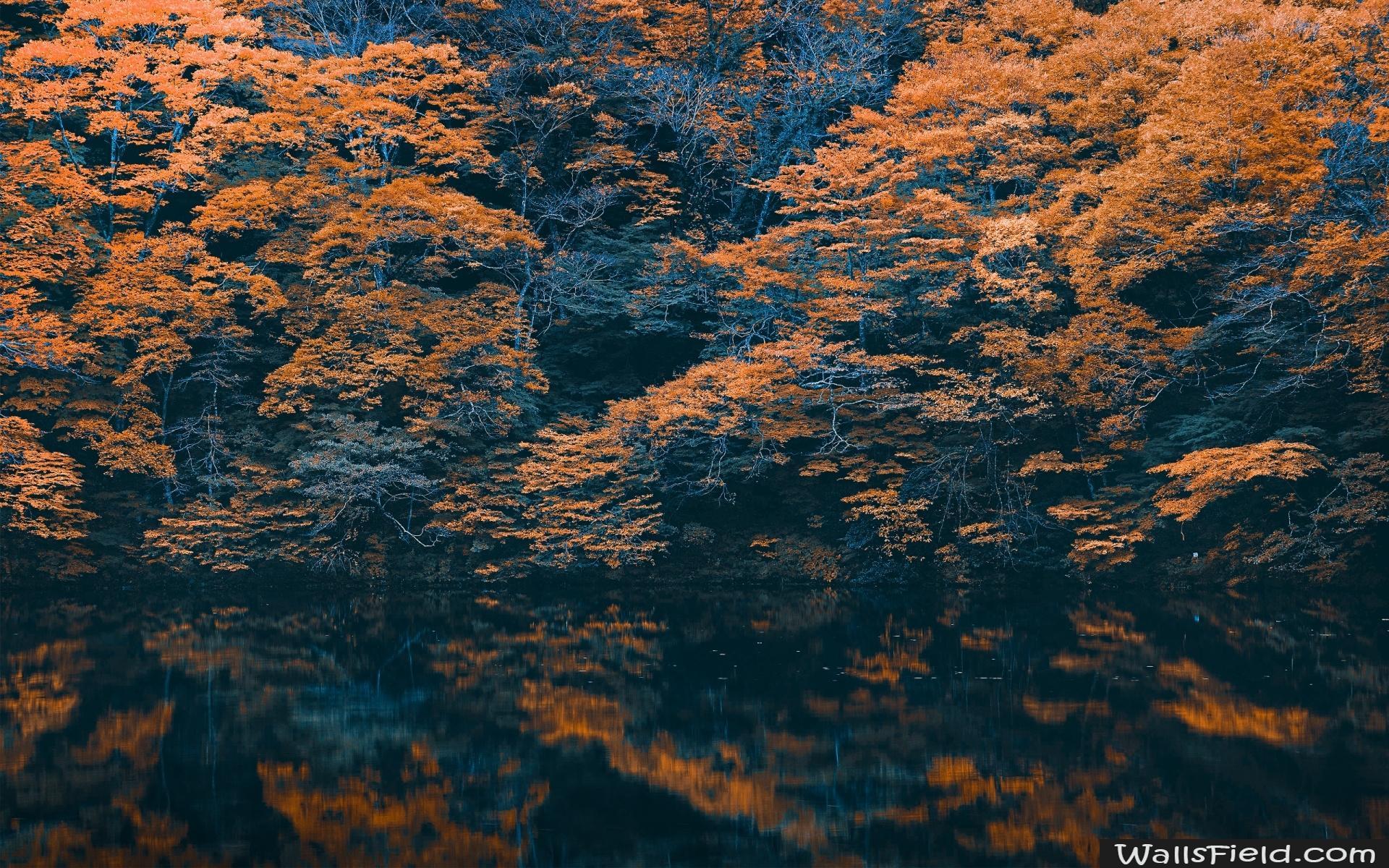 Autumn Reflection.com. Free HD Wallpaper