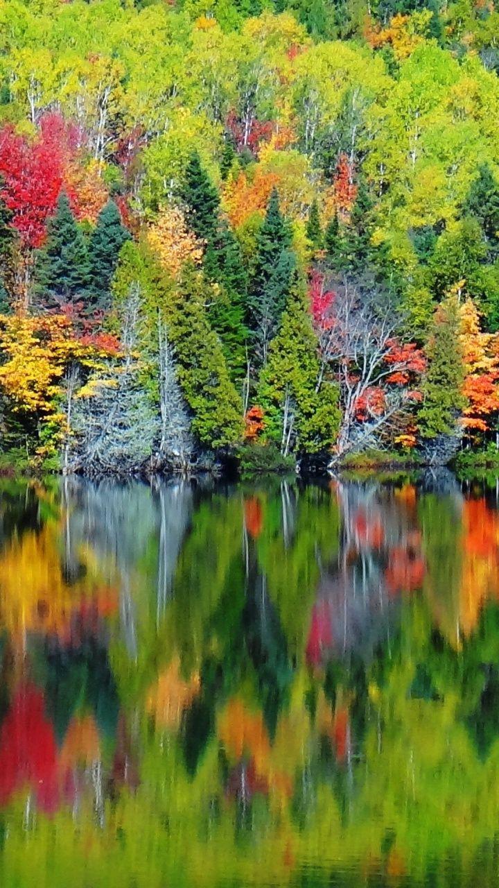 Autumn, colorful, lake, reflections, tree, 720x1280