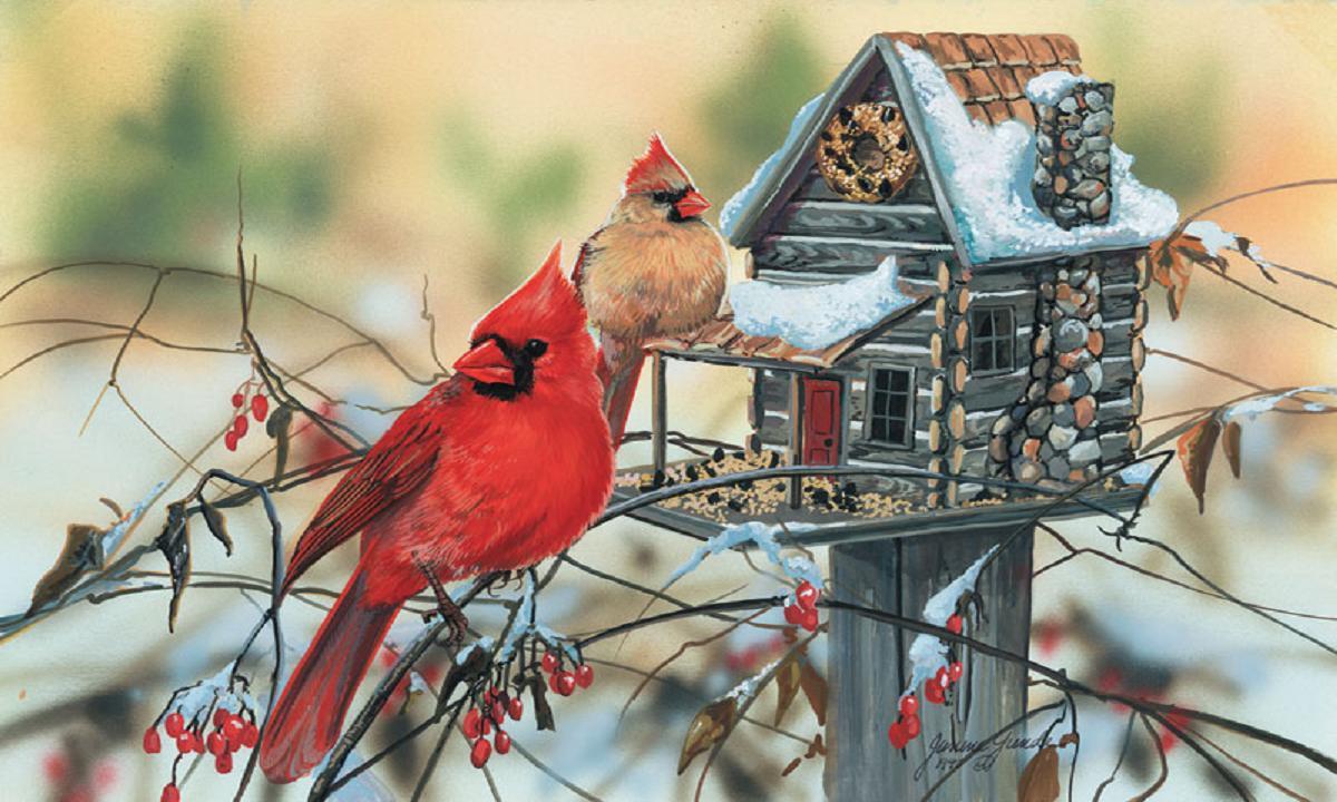 Large Cardinal Background Image HD Wallpaper